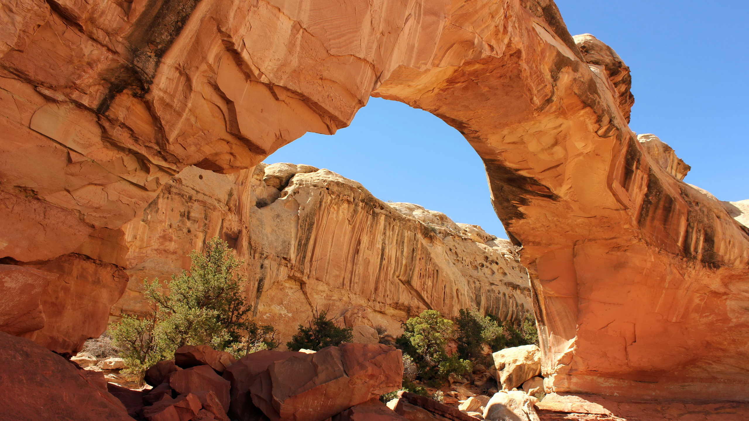 Обои природа, естественная арка, каньон, парк, формирование в разрешении 2560x1440