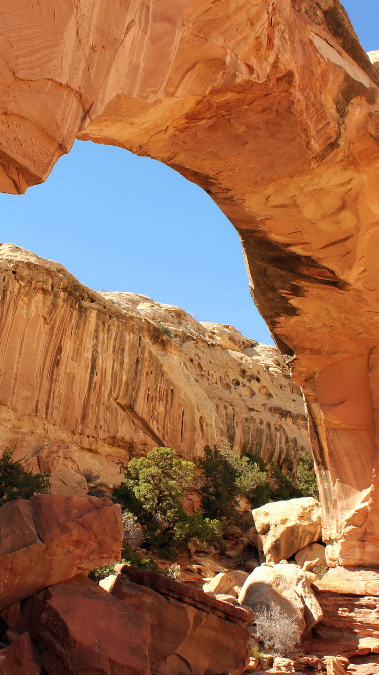 Обои природа, естественная арка, каньон, парк, формирование в разрешении 750x1334