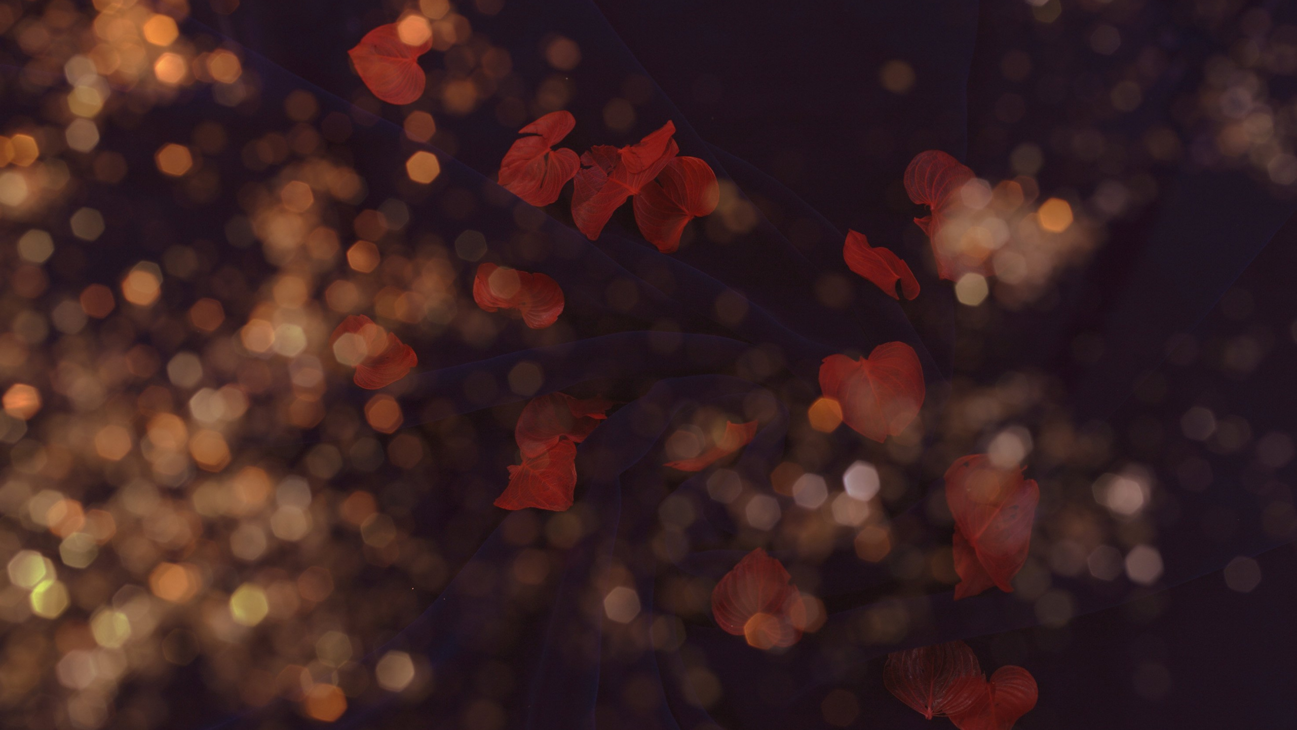 Обои красный цвет, ночь, солнечный свет, постер, ювелирные изделия в разрешении 2560x1440