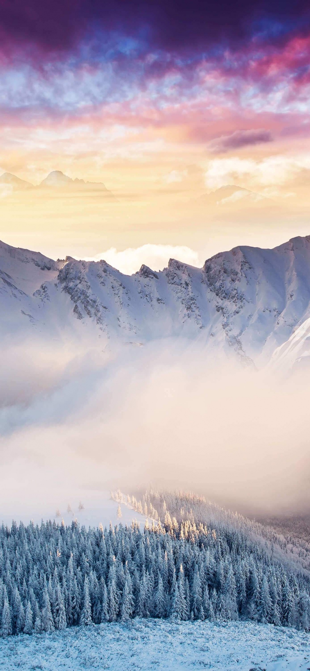 Обои Microsoft Surface, Microsoft Surface Studio, Поверхность Студию, Surface Pro 4, surface pro 3 в разрешении 1242x2688