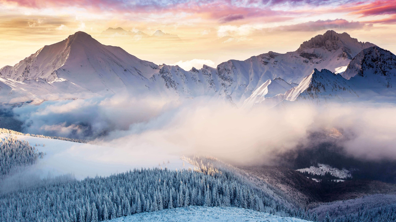 Обои Microsoft Surface, Microsoft Surface Studio, Поверхность Студию, Surface Pro 4, surface pro 3 в разрешении 1366x768