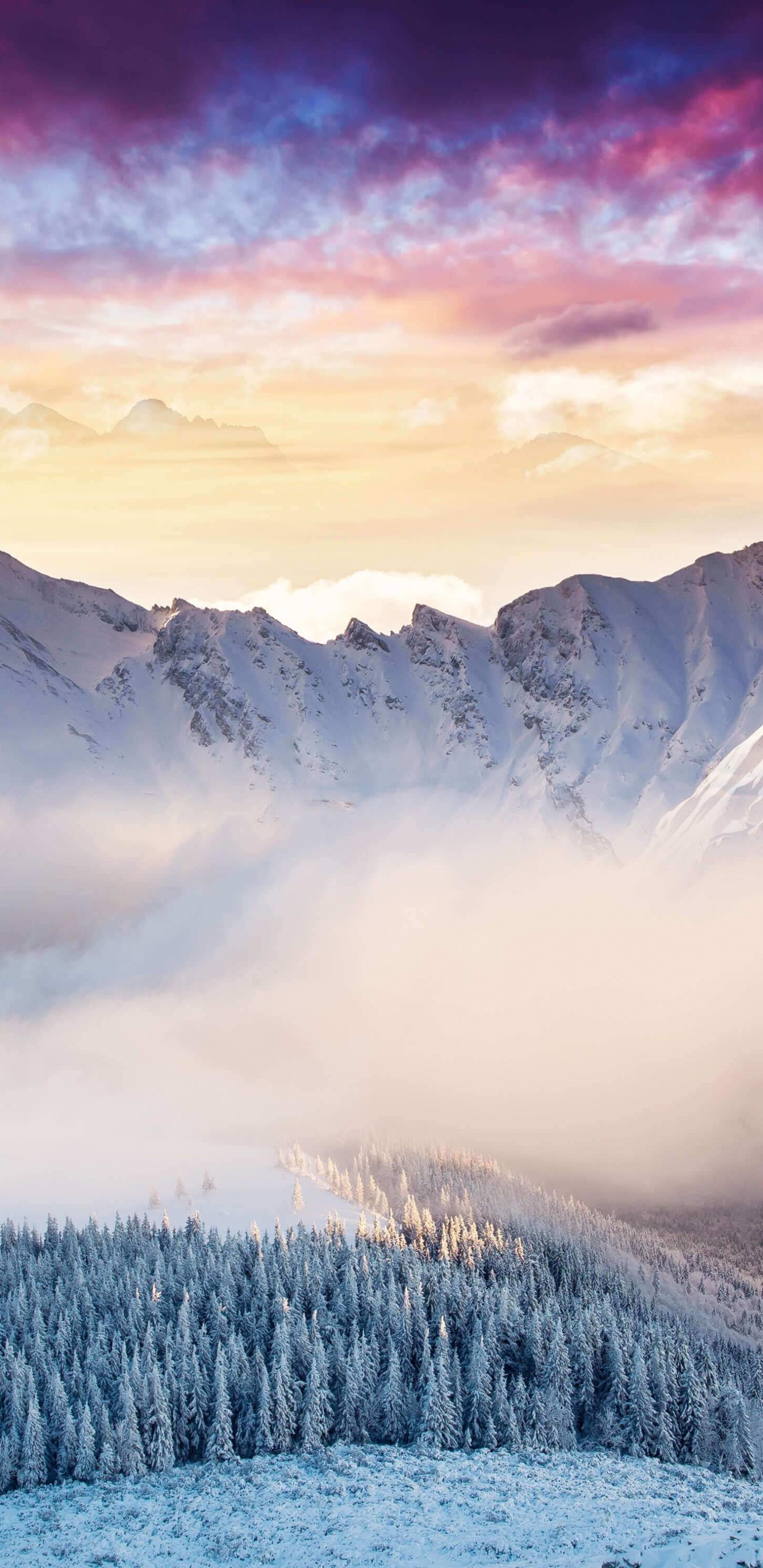 Обои Microsoft Surface, Microsoft Surface Studio, Поверхность Студию, Surface Pro 4, surface pro 3 в разрешении 1440x2960