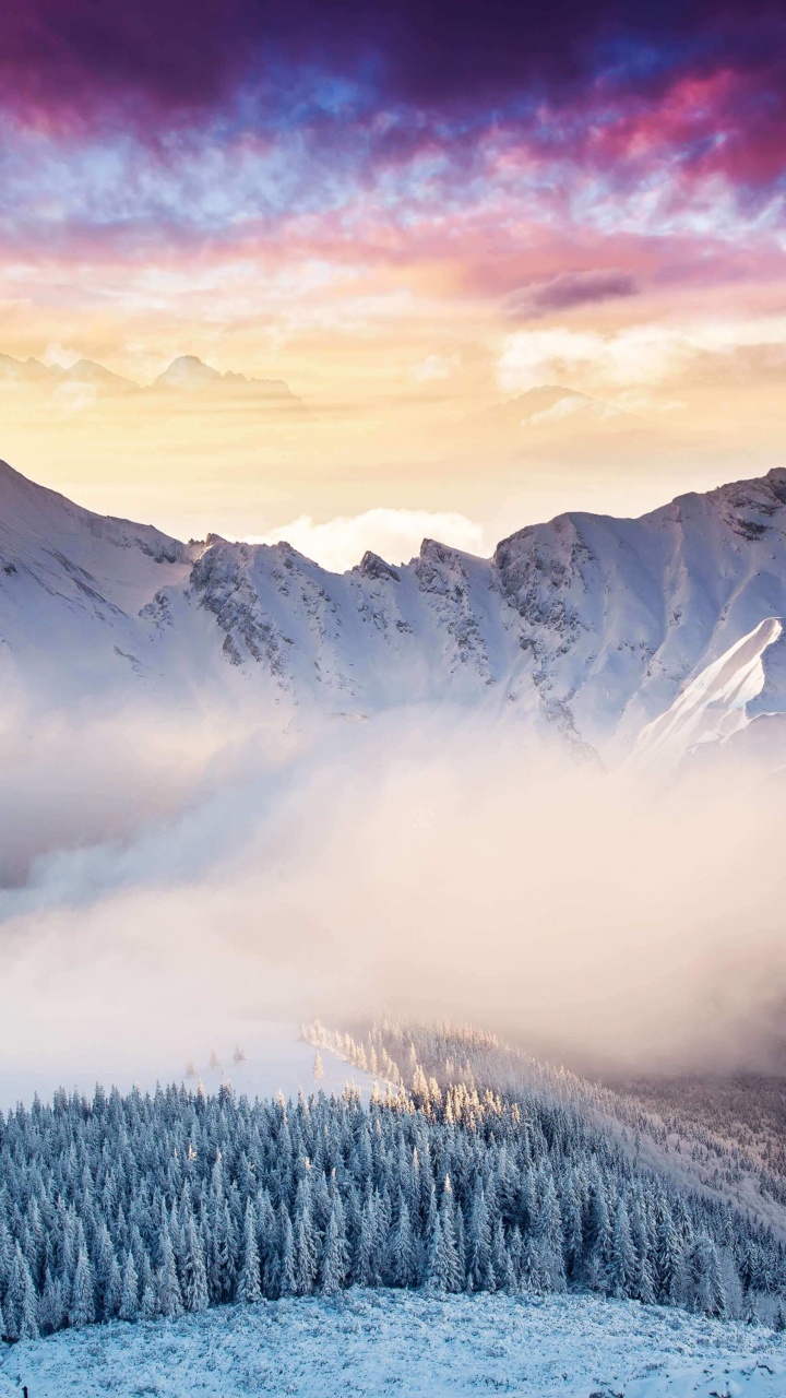 Обои Microsoft Surface, Microsoft Surface Studio, Поверхность Студию, Surface Pro 4, surface pro 3 в разрешении 720x1280