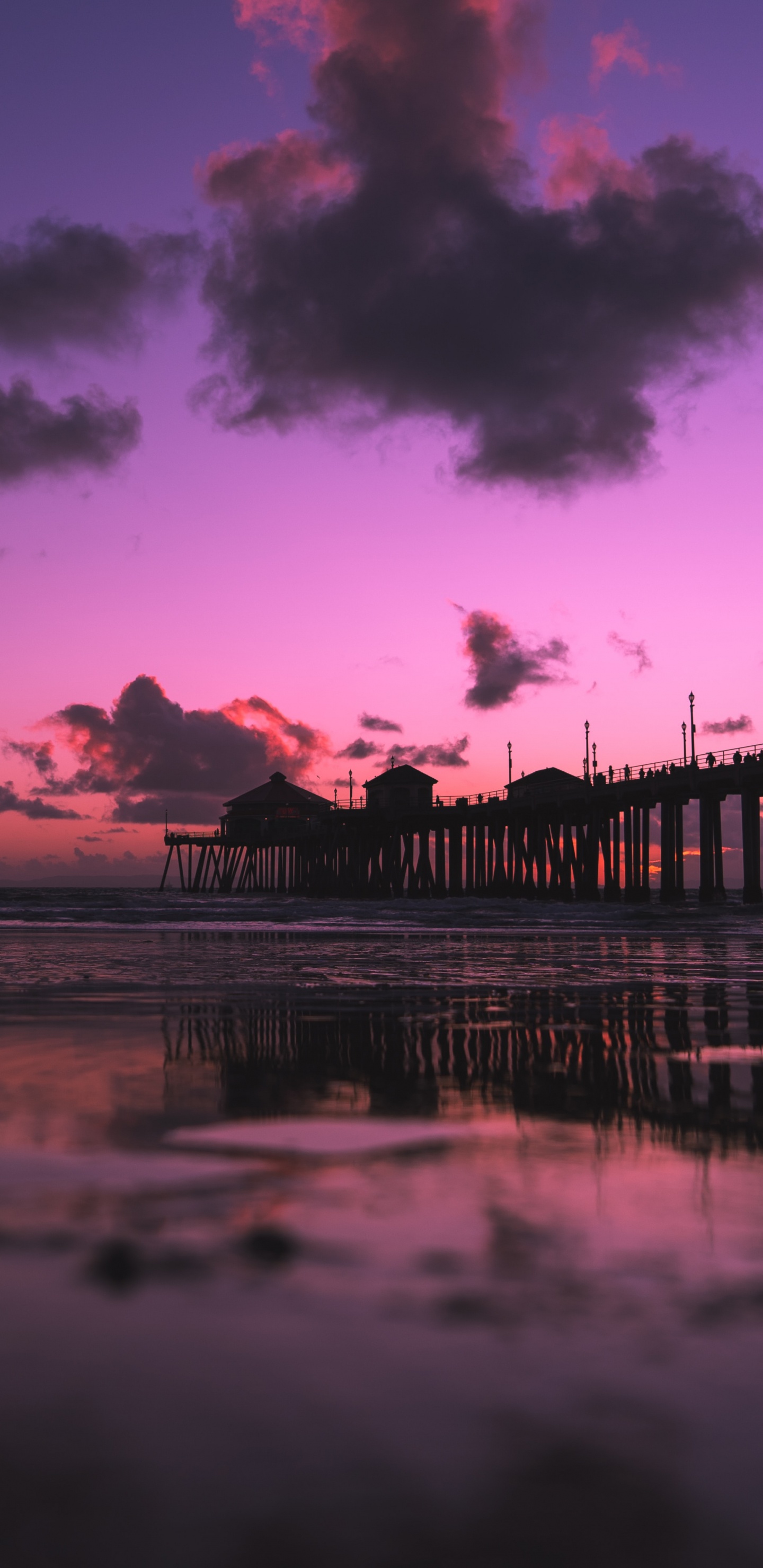 Обои сумрак, синий, восход солнца, море, отражение в разрешении 1440x2960