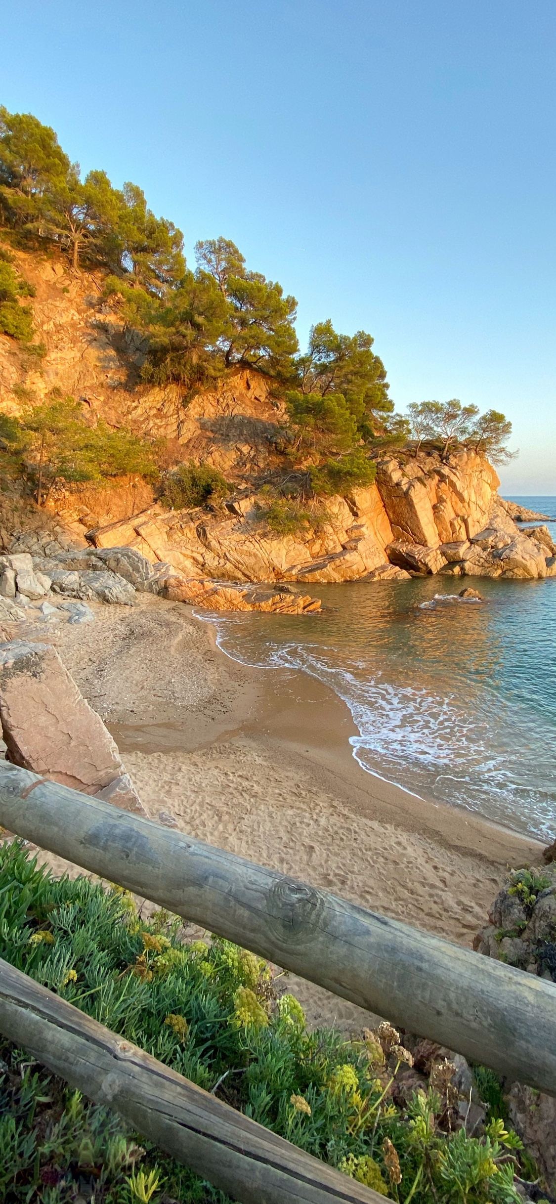 Обои побережье, мыс, растение, берег, местность в разрешении 1125x2436