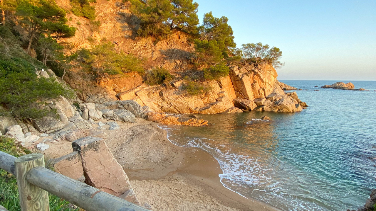 Обои побережье, мыс, растение, берег, местность в разрешении 1280x720