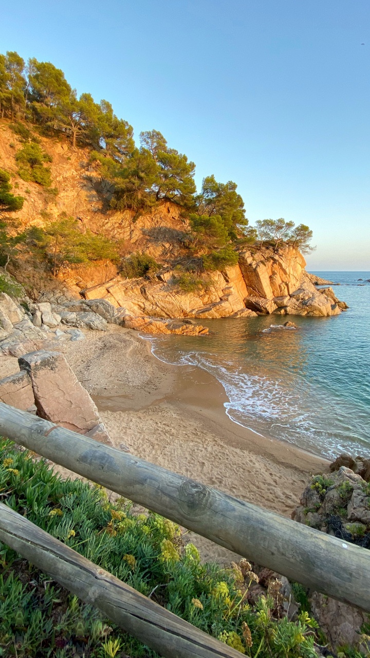 Обои побережье, мыс, растение, берег, местность в разрешении 720x1280