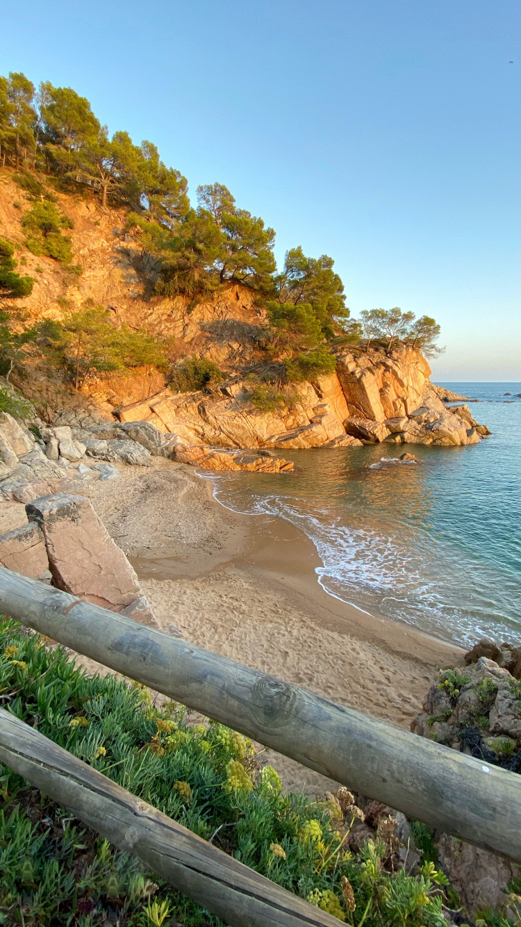 Обои побережье, мыс, растение, берег, местность в разрешении 750x1334