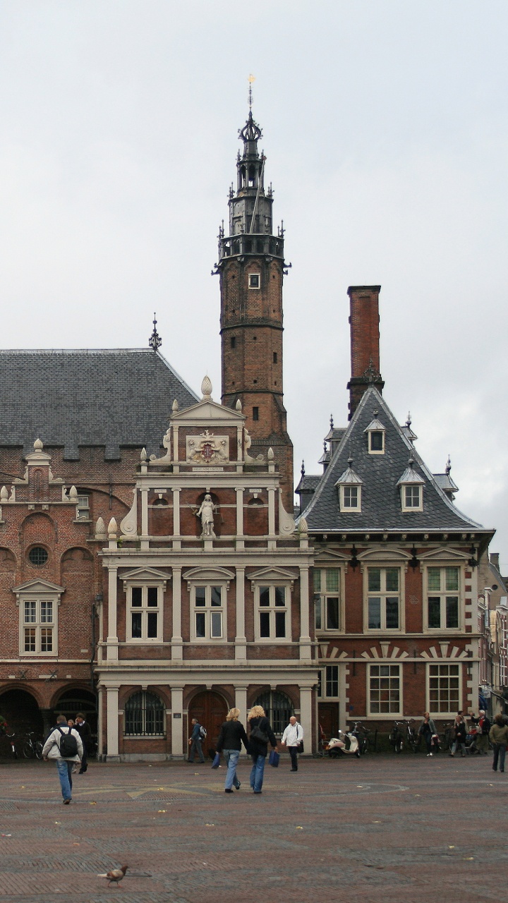 Обои мэрия, Амстердам, город, городская площадь, рыночная площадь в разрешении 720x1280