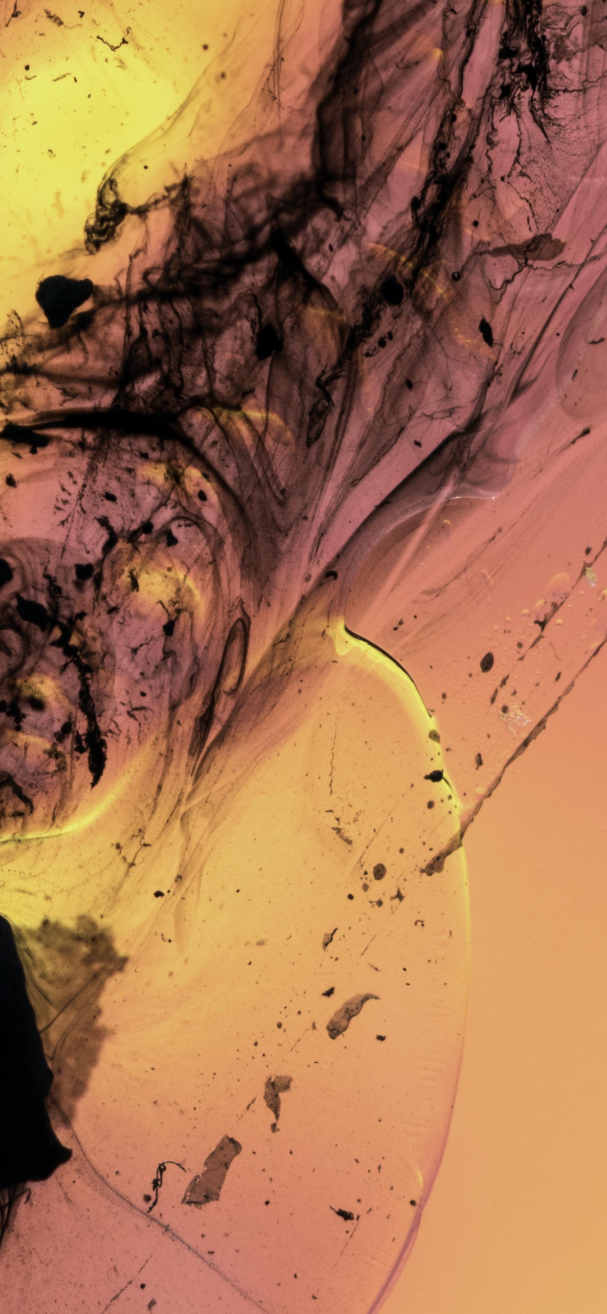 Обои жидкость, жидкий, красочность в разрешении 1242x2688