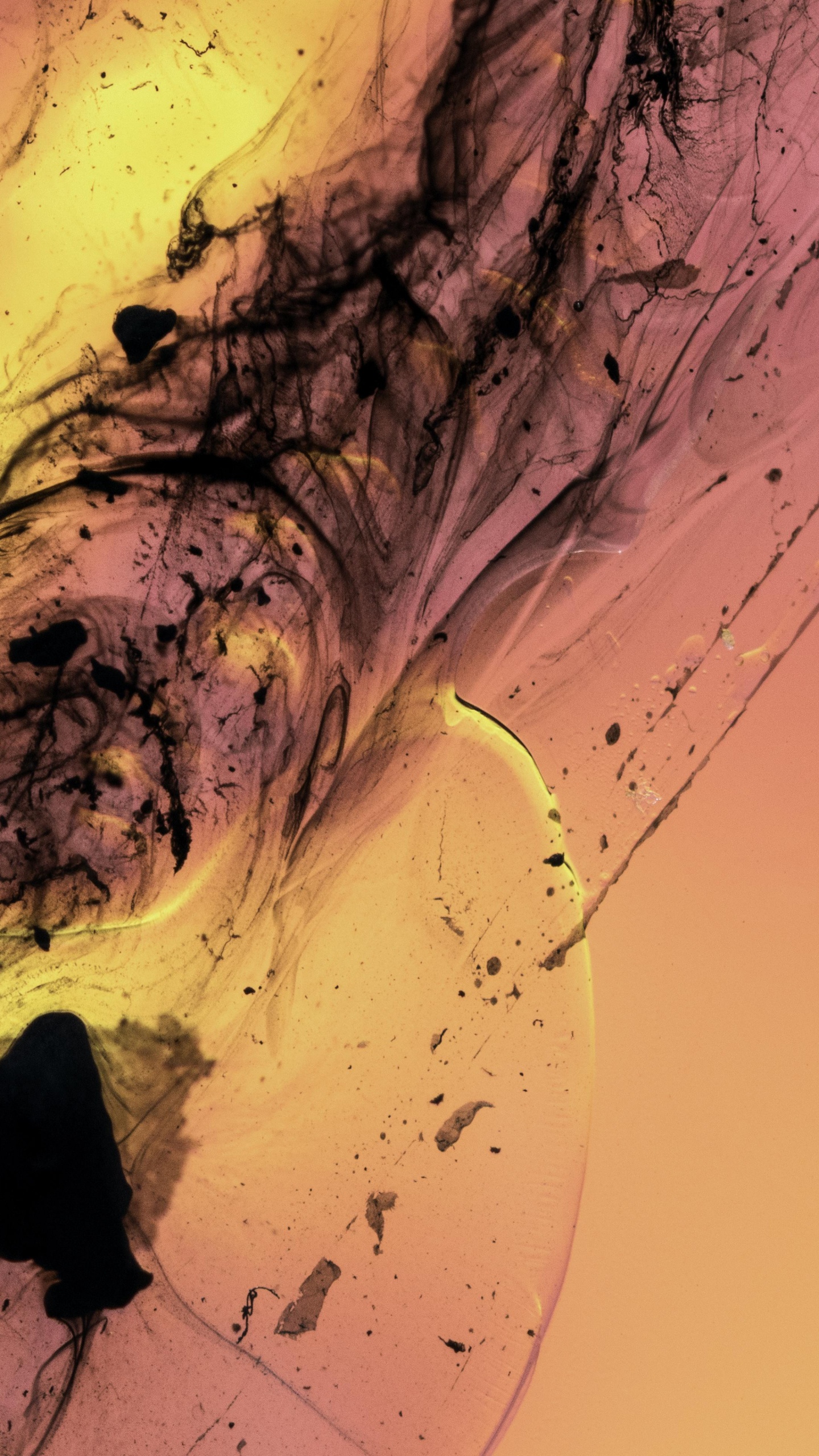 Обои жидкость, жидкий, красочность в разрешении 1440x2560