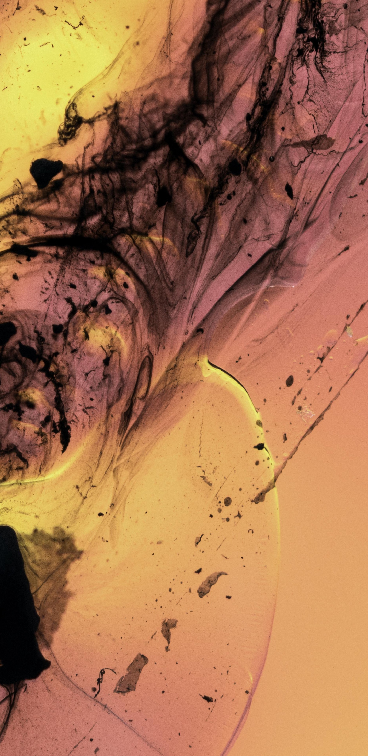 Обои жидкость, жидкий, красочность в разрешении 1440x2960