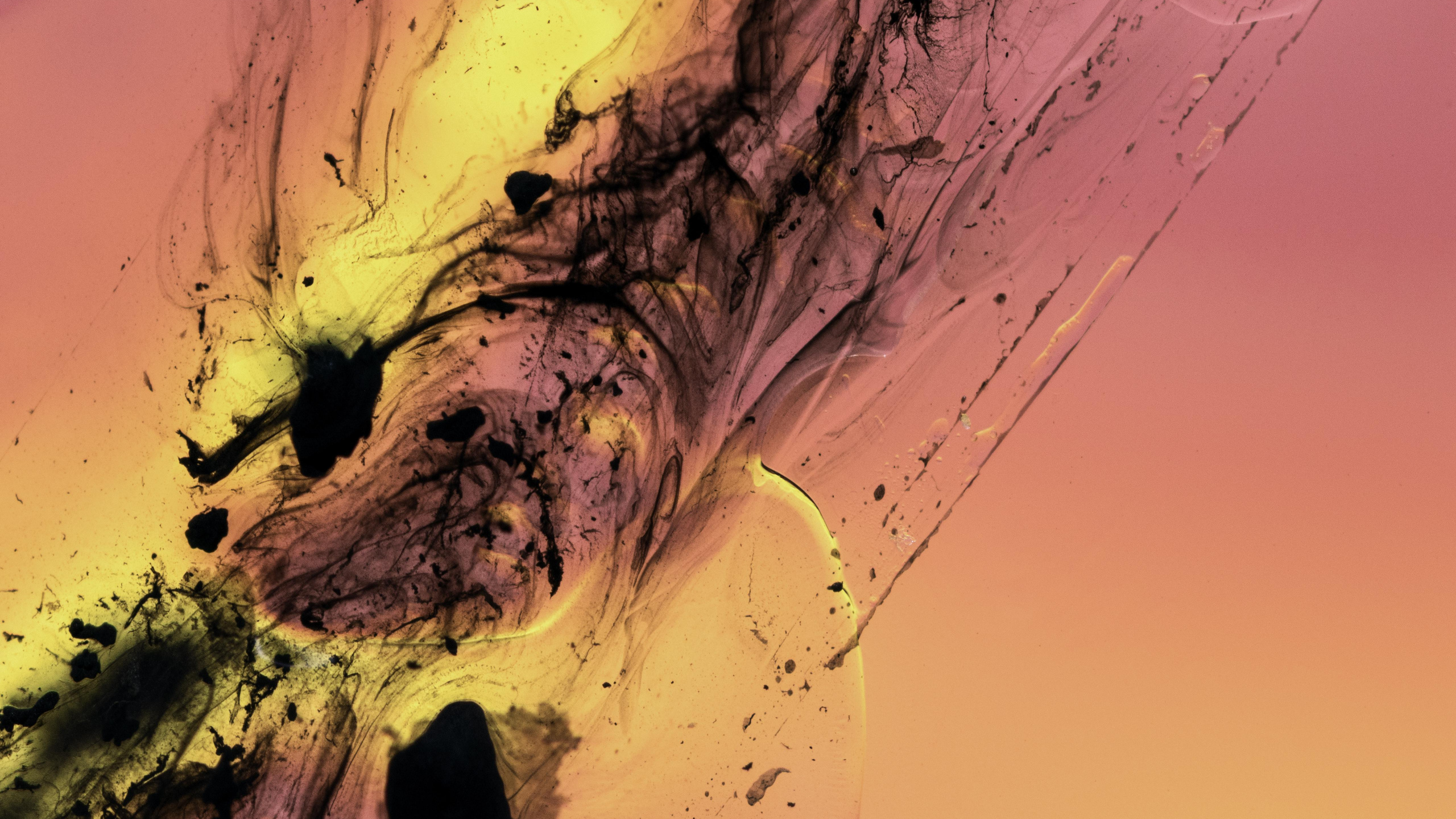 Обои жидкость, жидкий, красочность в разрешении 2560x1440