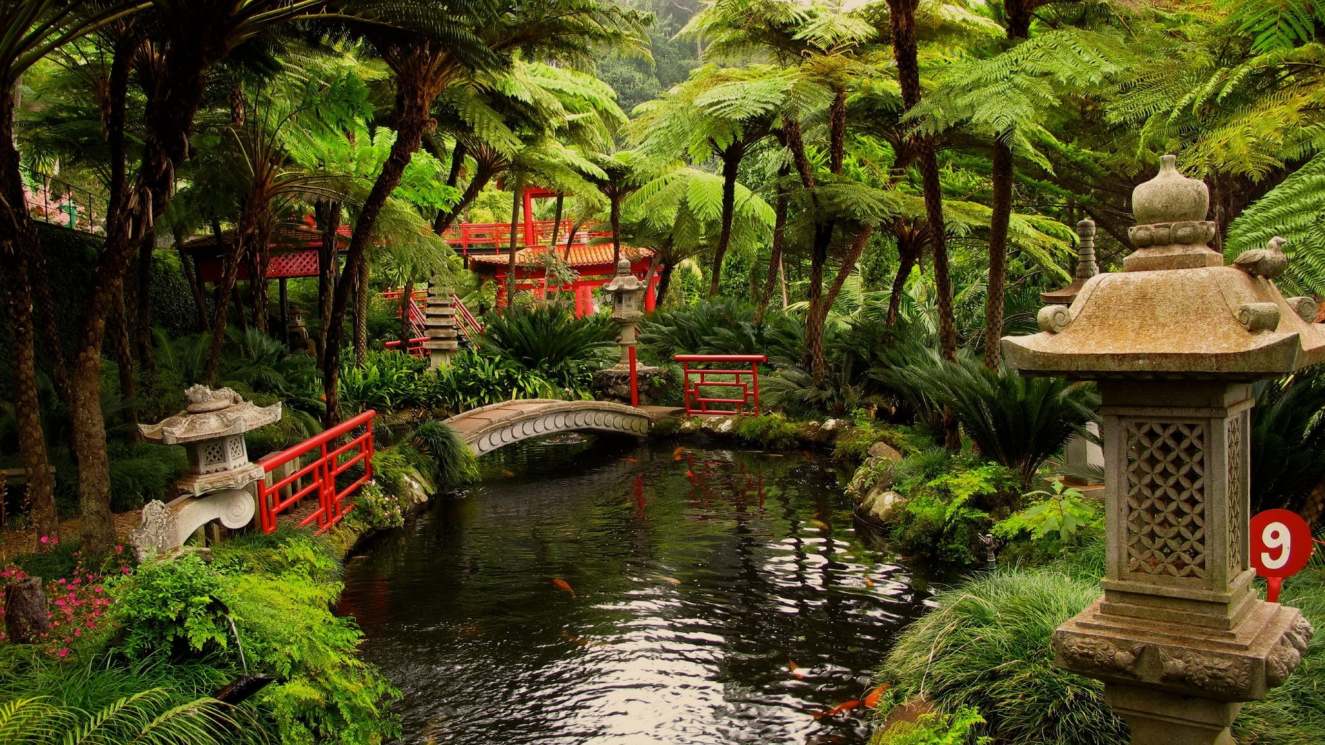 Обои японский сад, сад, Портлендский Японский Сад, японский сад камней, садовый дизайн в разрешении 1920x1080