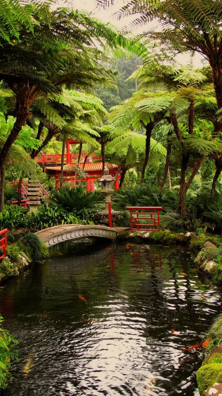 Обои японский сад, сад, Портлендский Японский Сад, японский сад камней, садовый дизайн в разрешении 720x1280