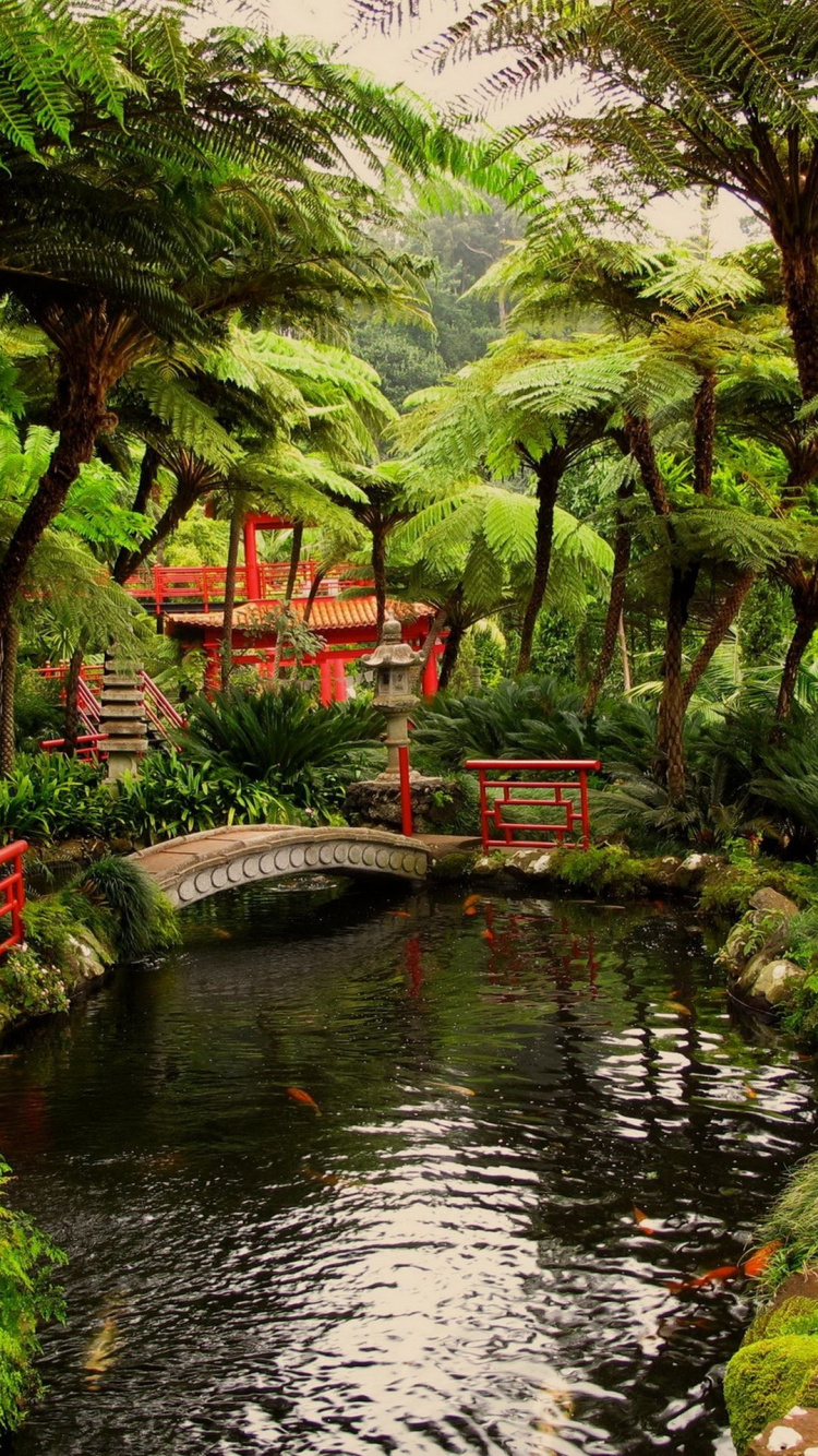 Обои японский сад, сад, Портлендский Японский Сад, японский сад камней, садовый дизайн в разрешении 750x1334