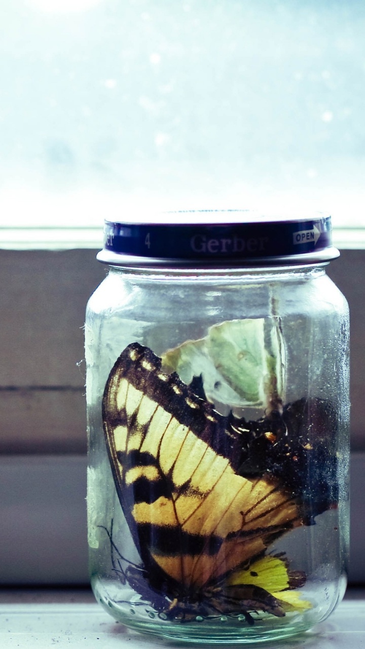 Обои банка, банка мейсона, стекло, стакан, холодные цвета в разрешении 720x1280