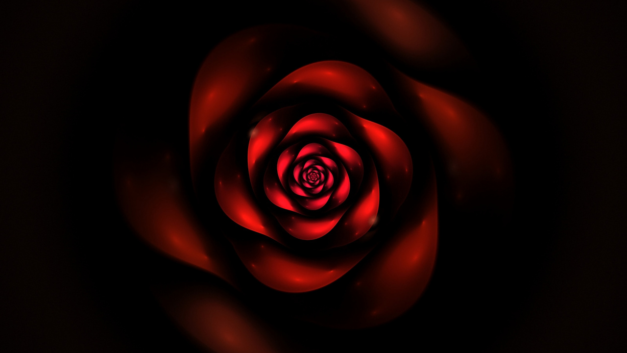 Обои красный цвет, Роза, сад роз, лепесток, цветок в разрешении 1280x720