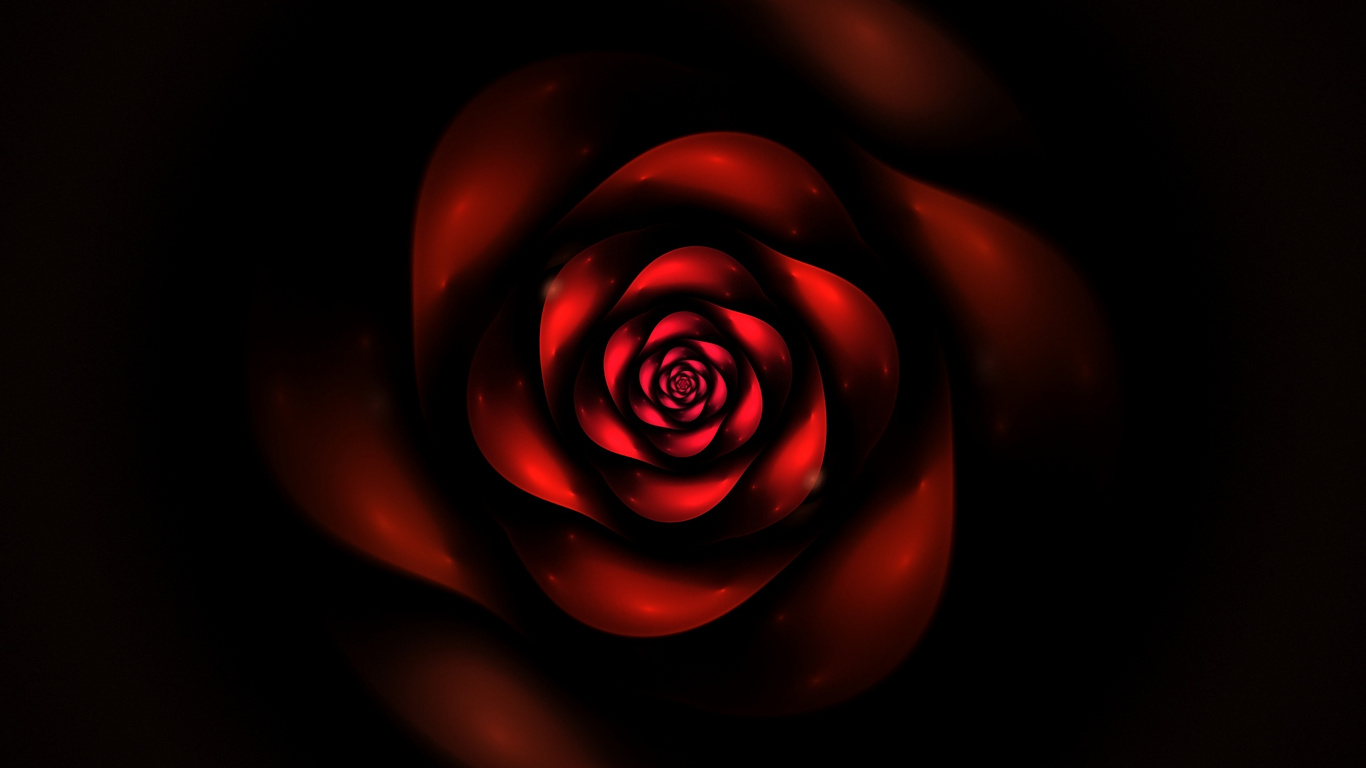 Обои красный цвет, Роза, сад роз, лепесток, цветок в разрешении 1366x768