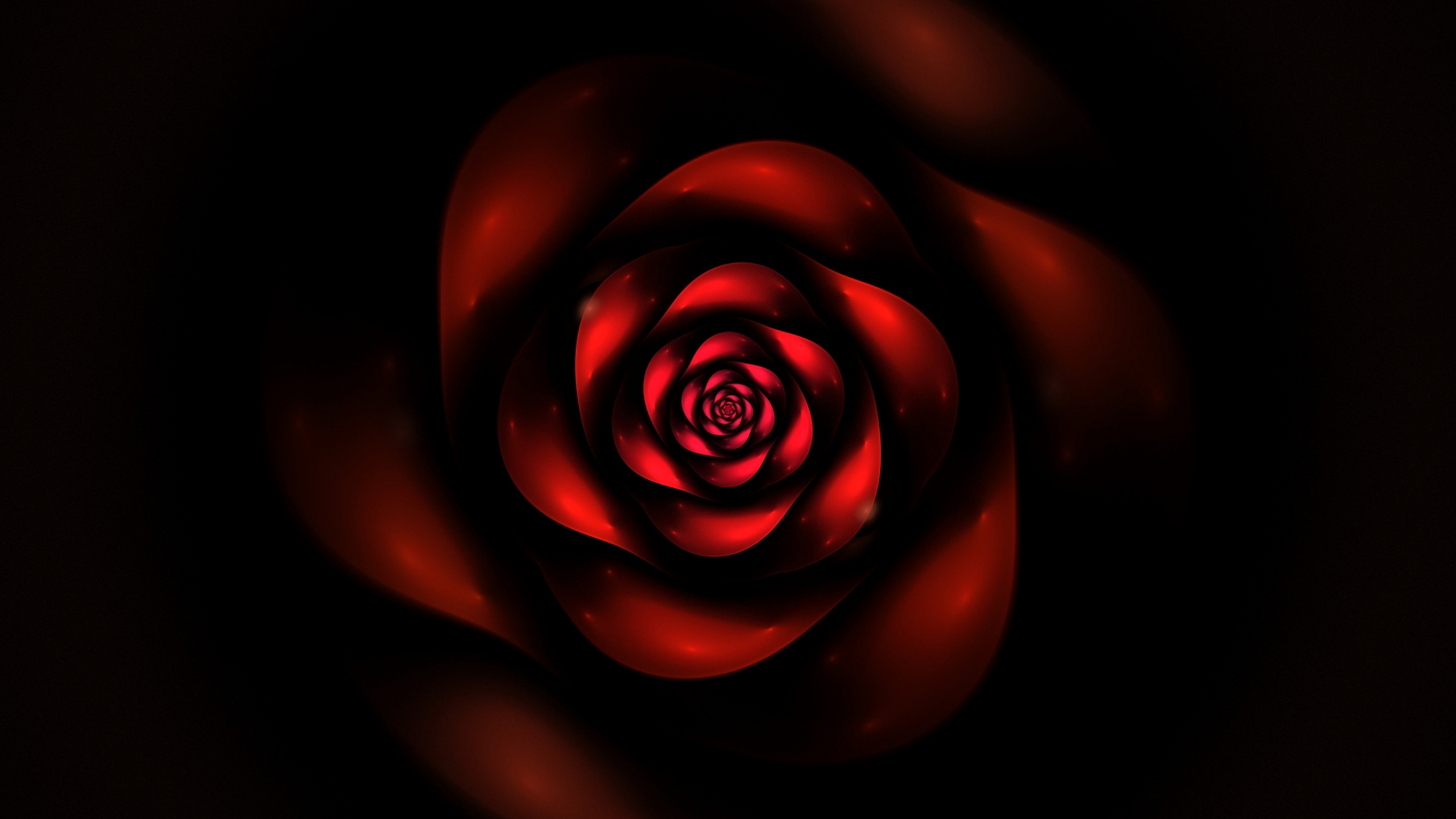 Обои красный цвет, Роза, сад роз, лепесток, цветок в разрешении 2560x1440