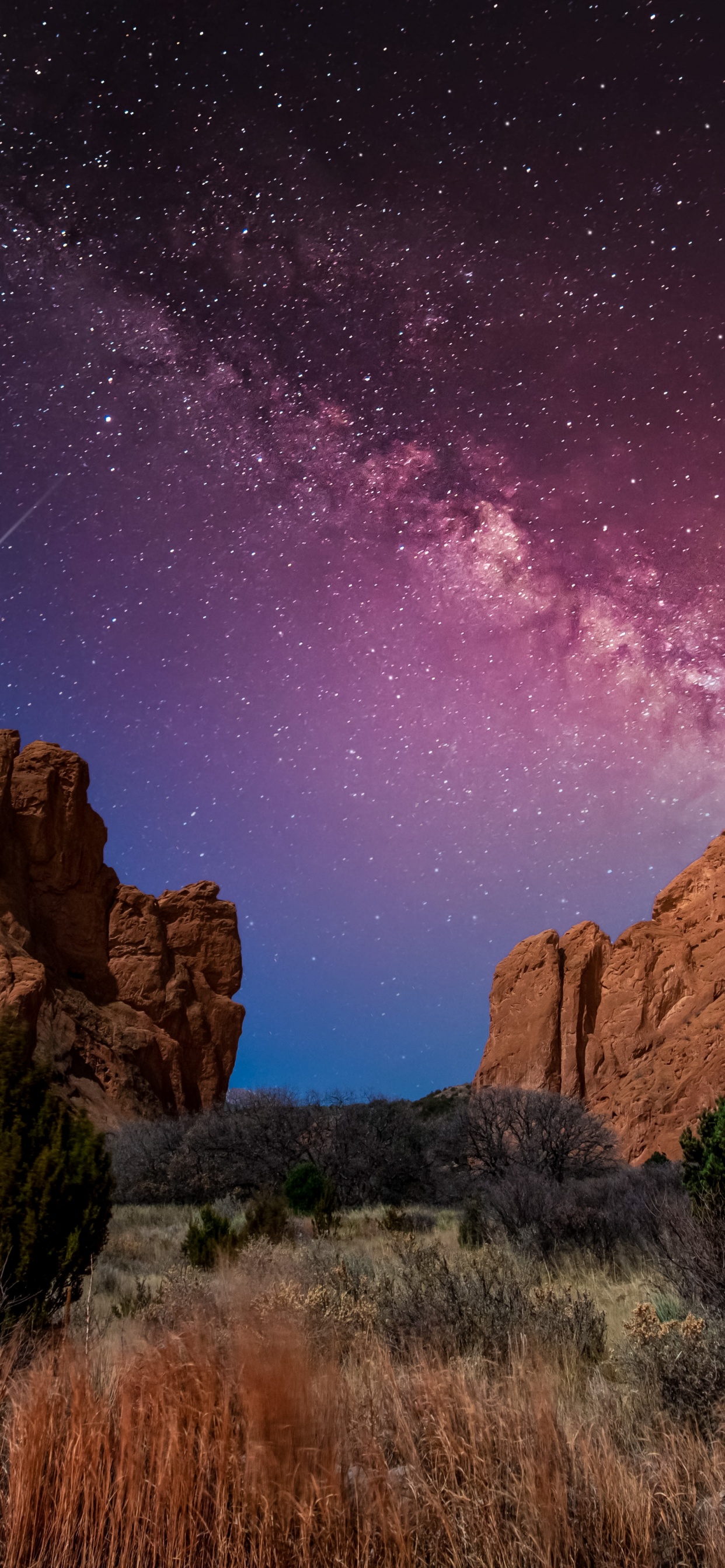 Обои Сбалансированная Рок, Клянусь, все-4-один, ютуб, растение в разрешении 1242x2688