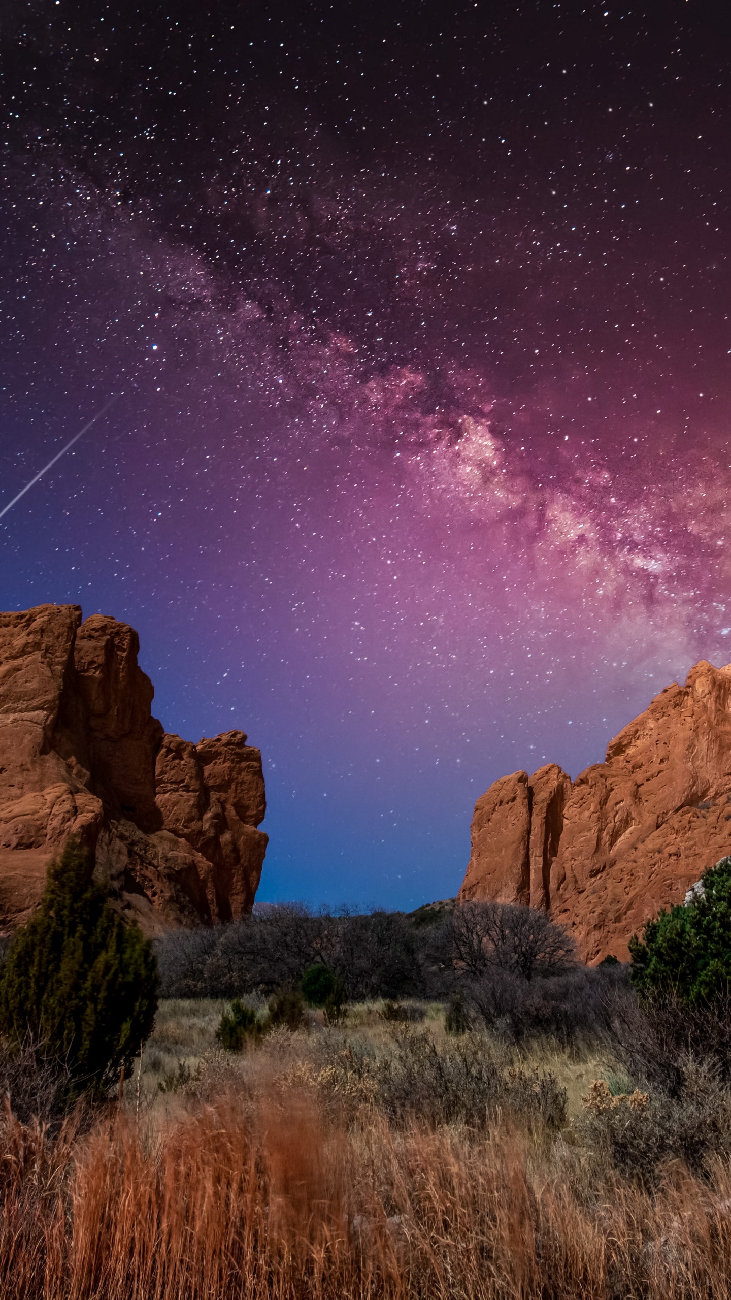 Обои Сбалансированная Рок, Клянусь, все-4-один, ютуб, растение в разрешении 1440x2560