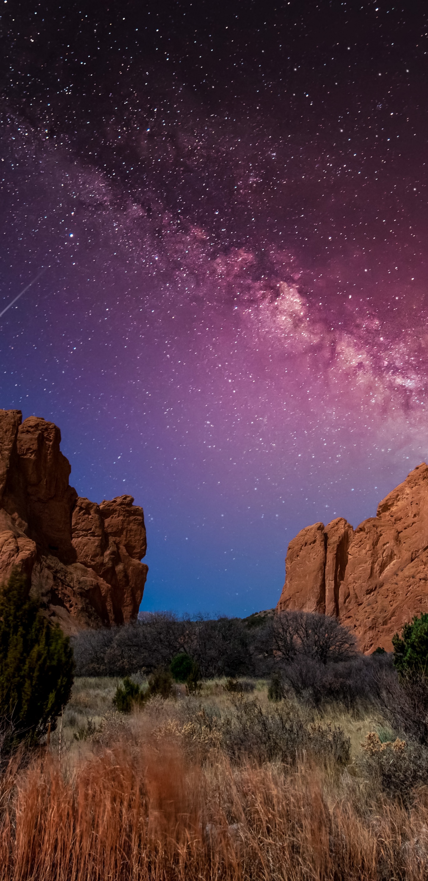 Обои Сбалансированная Рок, Клянусь, все-4-один, ютуб, растение в разрешении 1440x2960