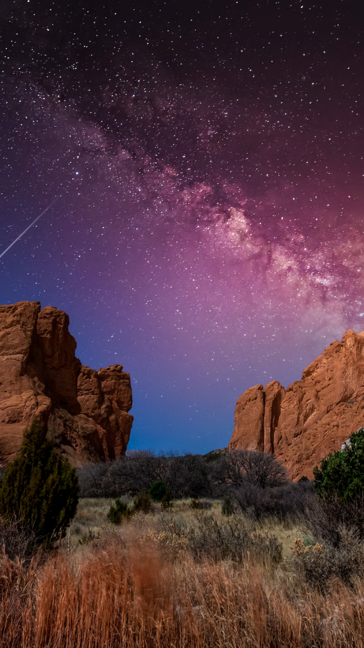 Обои Сбалансированная Рок, Клянусь, все-4-один, ютуб, растение в разрешении 750x1334