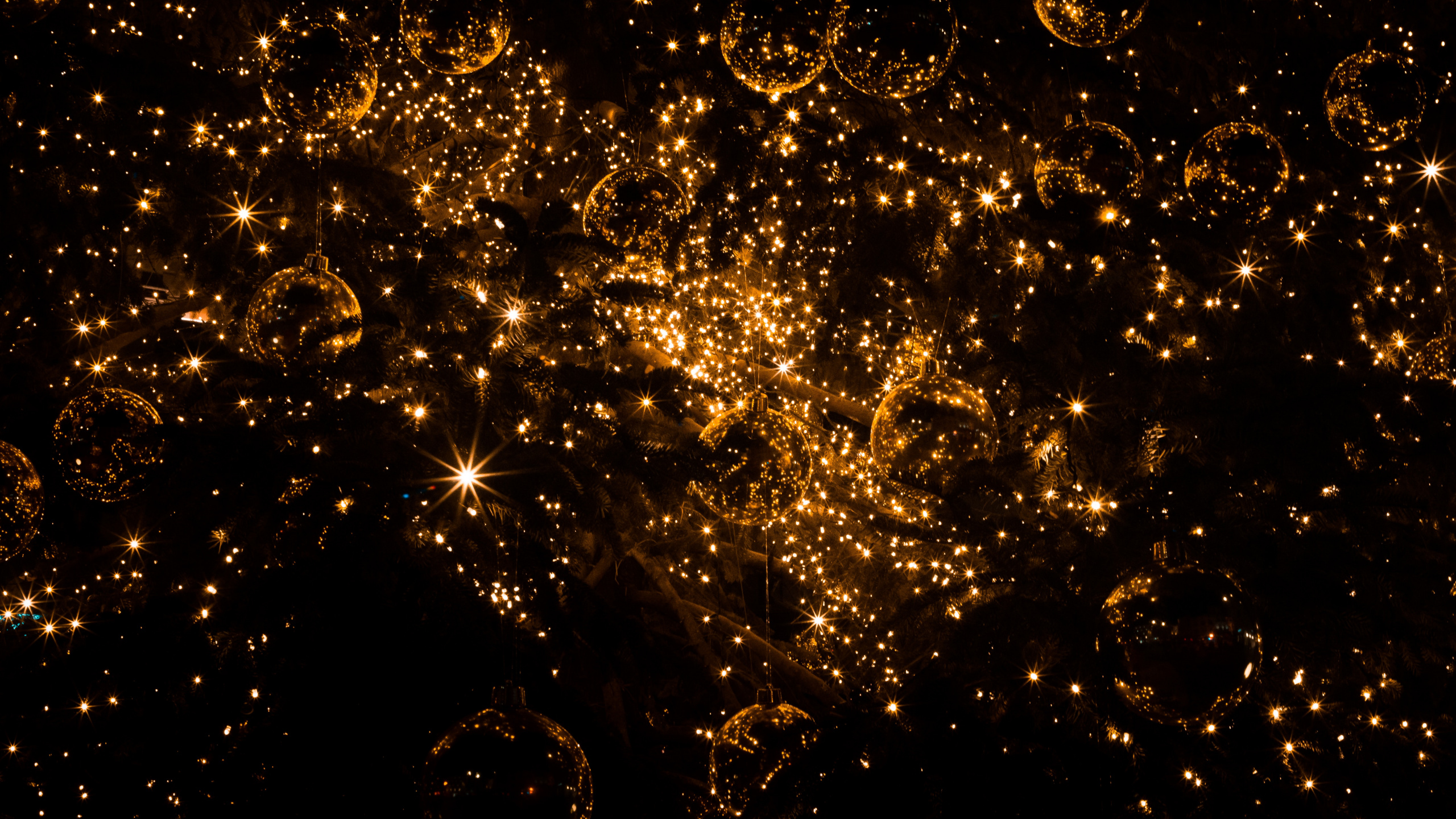 Обои Рождественский день, вода, космос, астрономический объект, темнота в разрешении 2560x1440