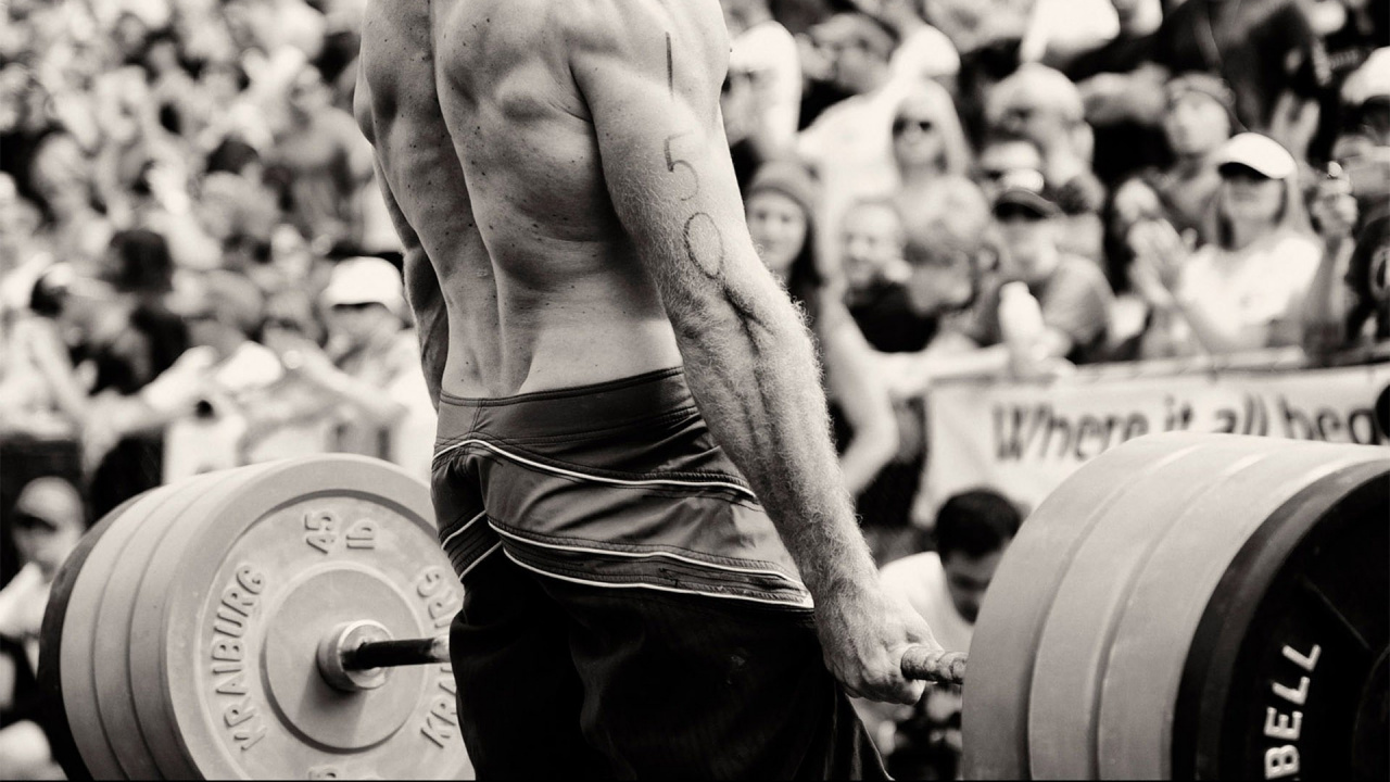 Обои Олимпийская тяжелая атлетика, физическая подготовка, фитнесс центр, силовая тренировка, мышца в разрешении 1280x720
