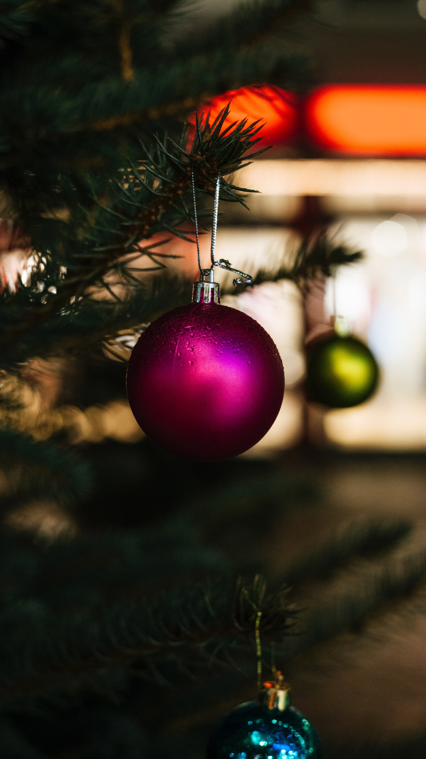 Обои Рождественский день, рождественский орнамент, дерево, Рождество, елка в разрешении 1440x2560