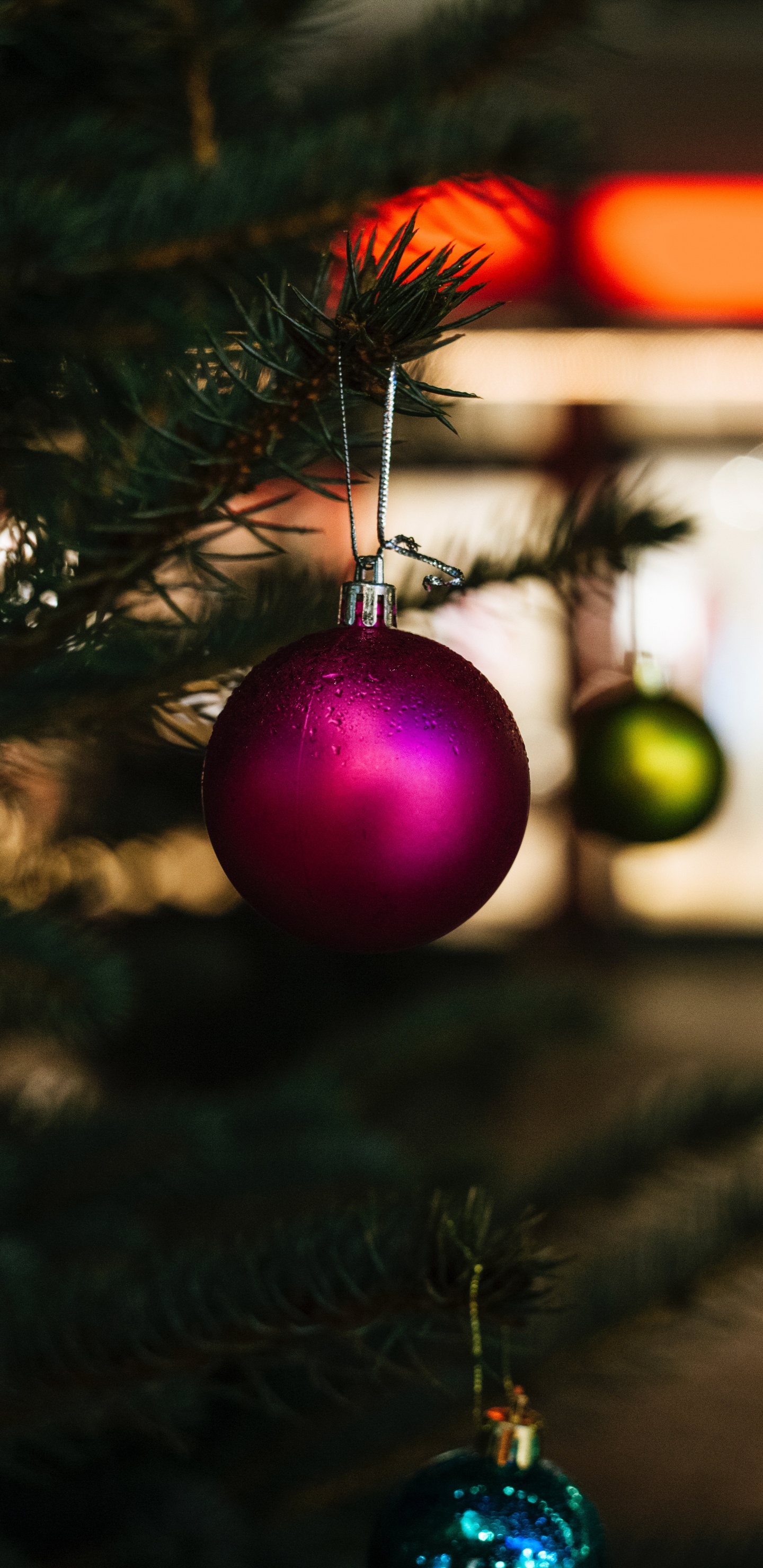Обои Рождественский день, рождественский орнамент, дерево, Рождество, елка в разрешении 1440x2960