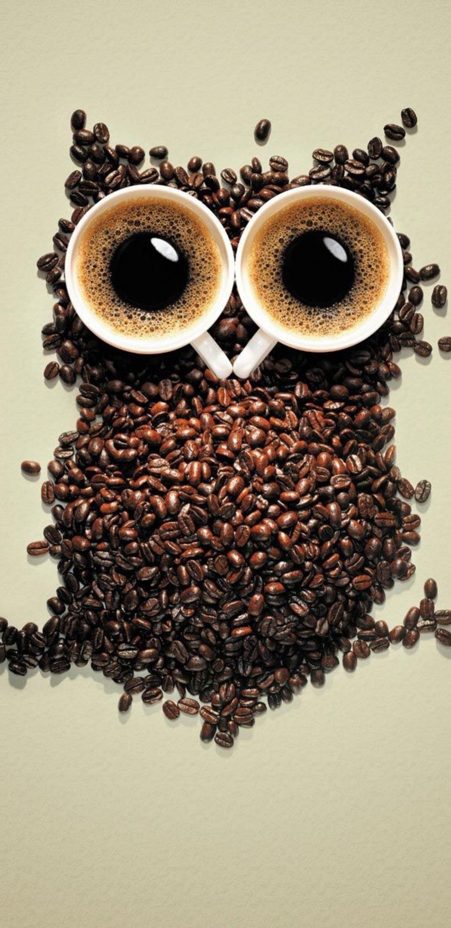 Обои сова, птица, хищная птица, иллюстрация, арт в разрешении 1440x2960