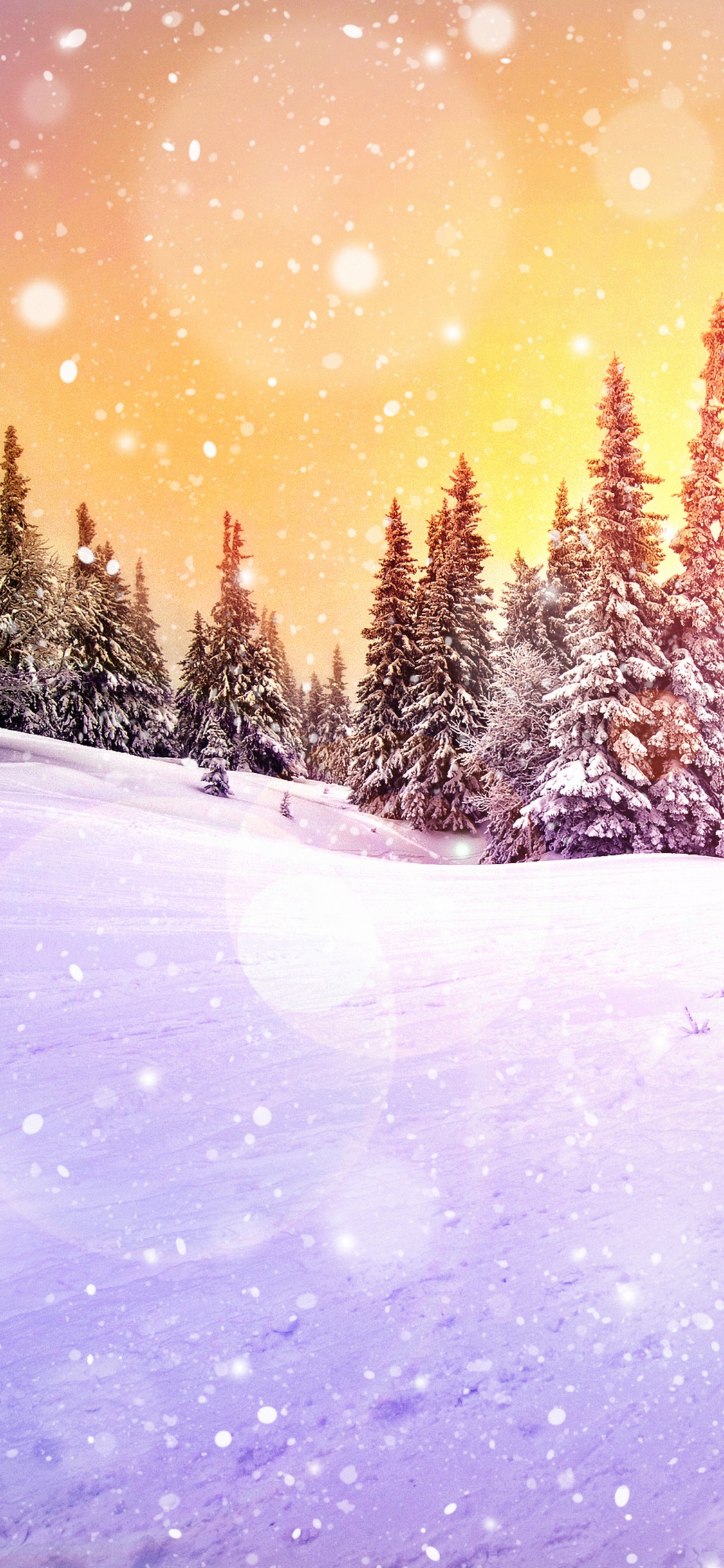 Обои зима, снег, природа, дерево, свет в разрешении 1125x2436