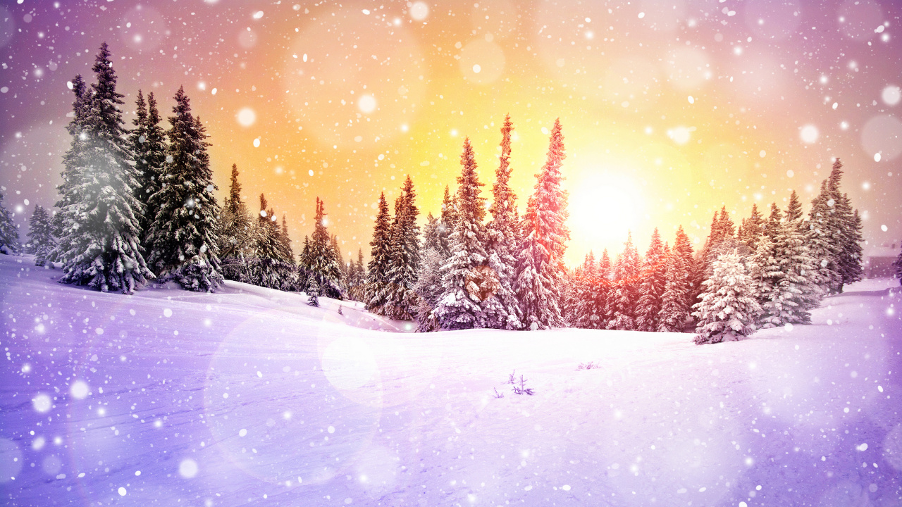 Обои зима, снег, природа, дерево, свет в разрешении 1280x720