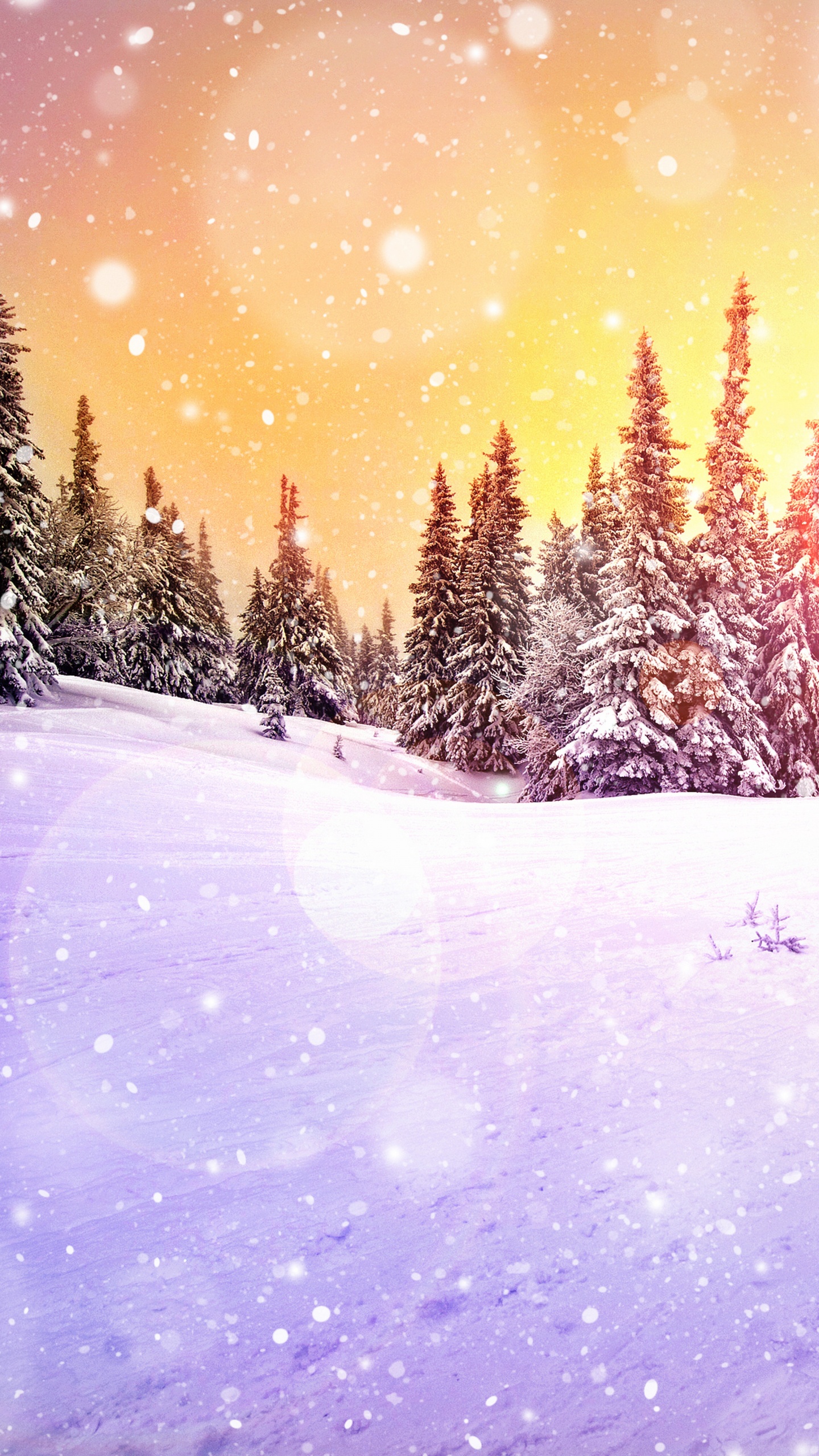 Обои зима, снег, природа, дерево, свет в разрешении 1440x2560