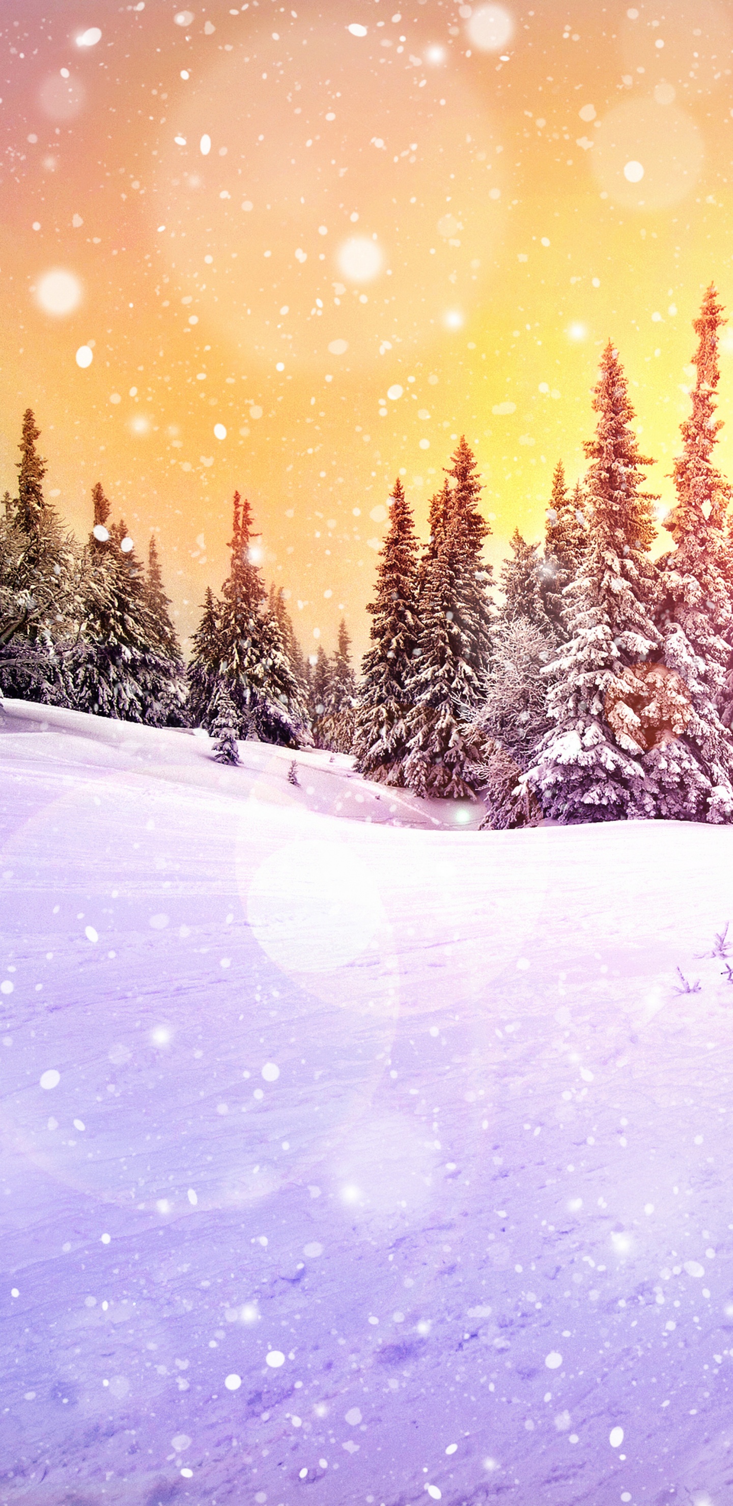 Обои зима, снег, природа, дерево, свет в разрешении 1440x2960