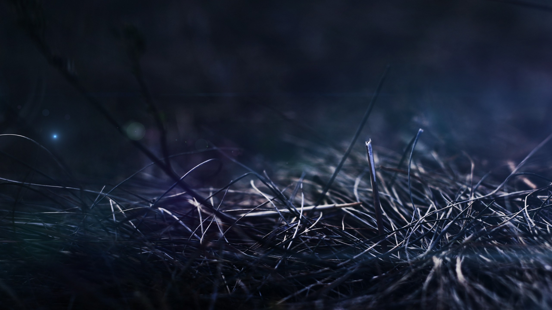 Обои вода, ночь, макросъемка, неба, боке в разрешении 1920x1080