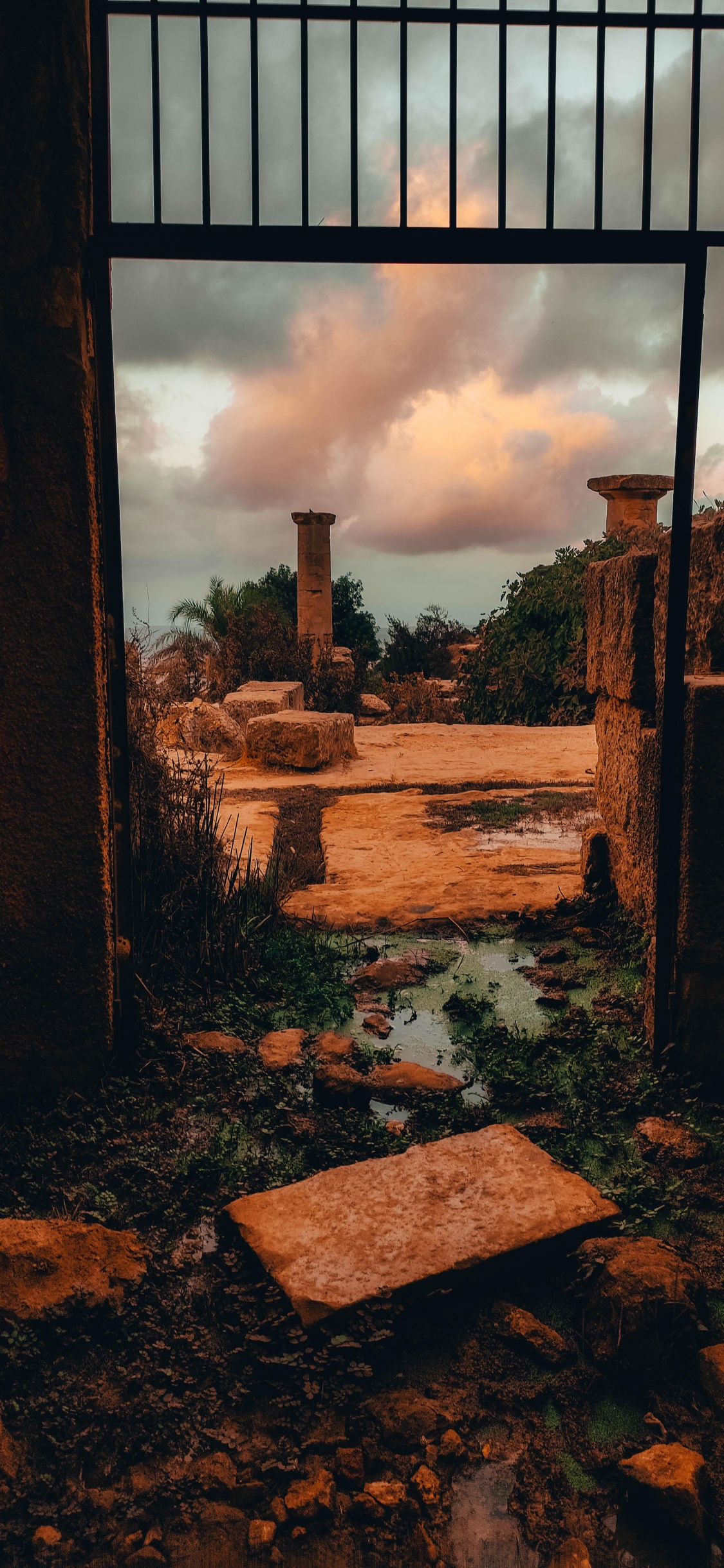 Обои просыпайся в небе, облако, растение, древесина, кирпичная кладка в разрешении 1125x2436