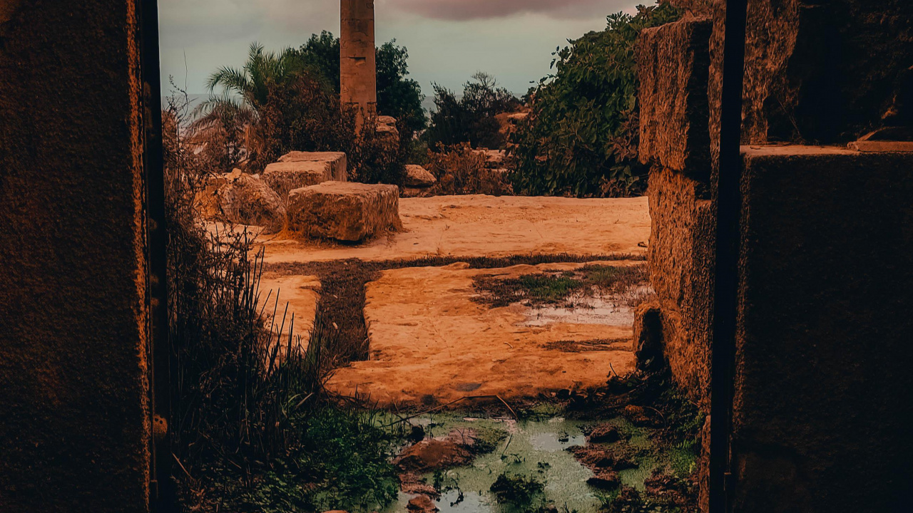 Обои просыпайся в небе, облако, растение, древесина, кирпичная кладка в разрешении 1280x720