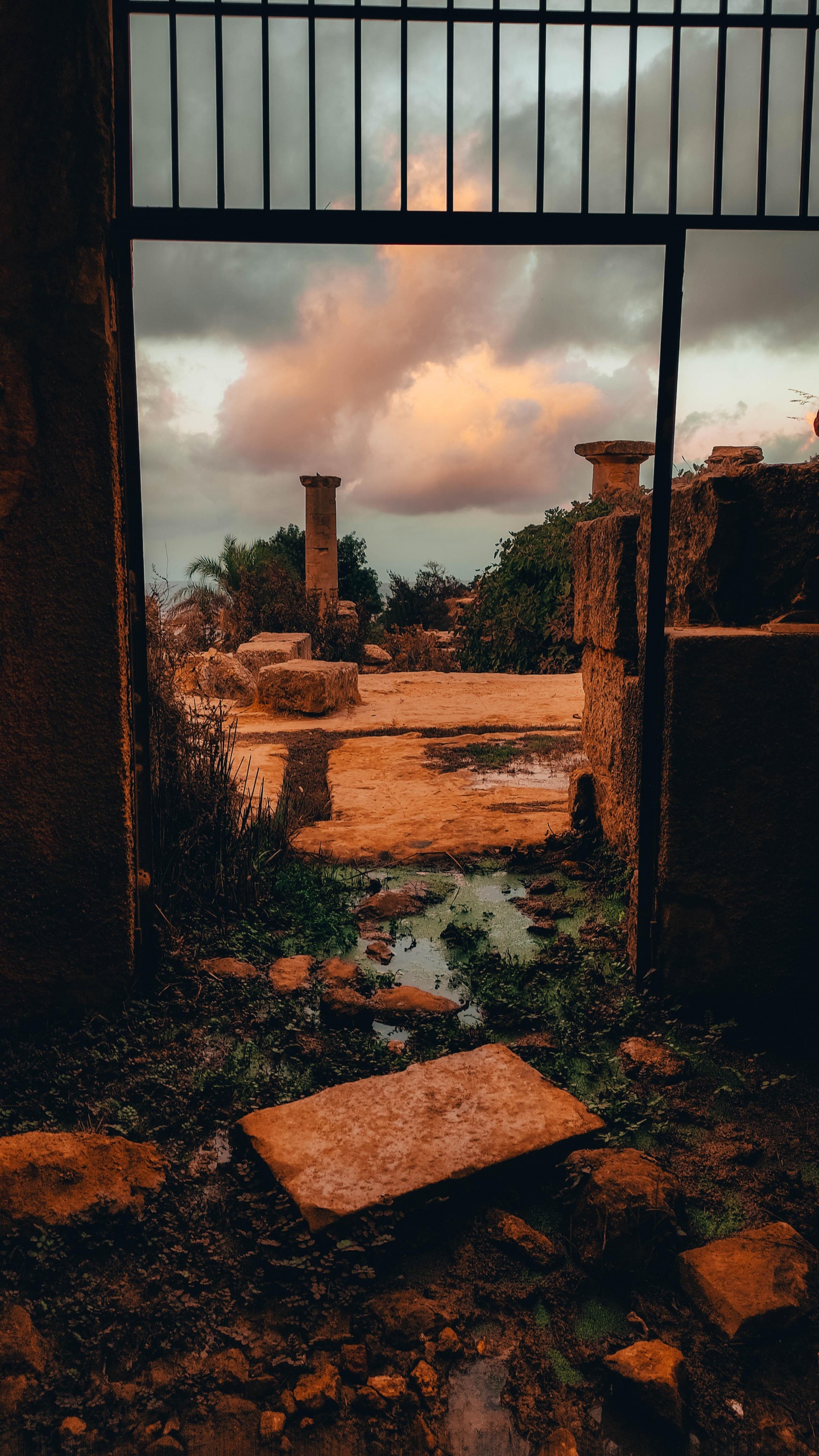 Обои просыпайся в небе, облако, растение, древесина, кирпичная кладка в разрешении 1440x2560