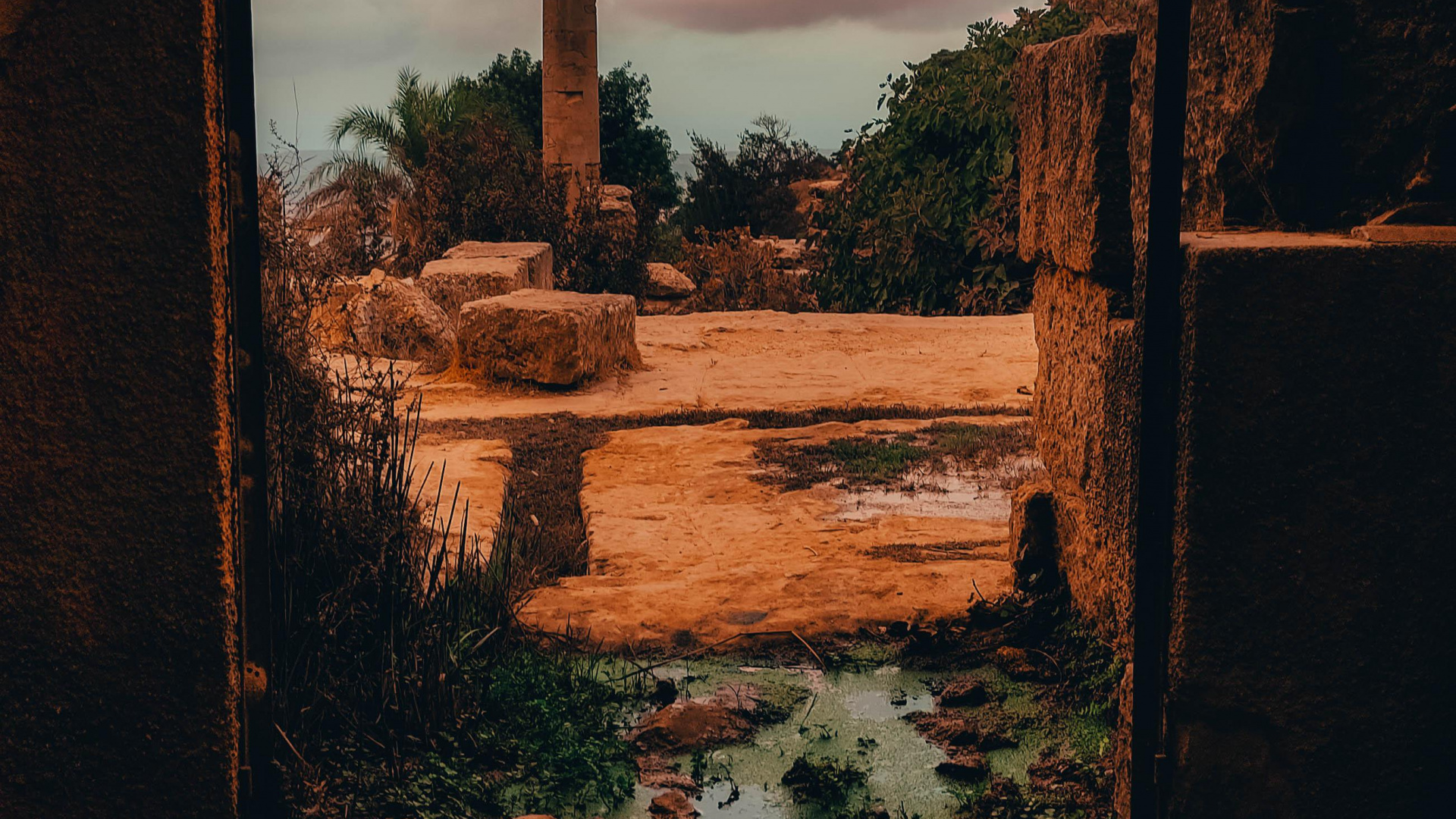 Обои просыпайся в небе, облако, растение, древесина, кирпичная кладка в разрешении 1920x1080