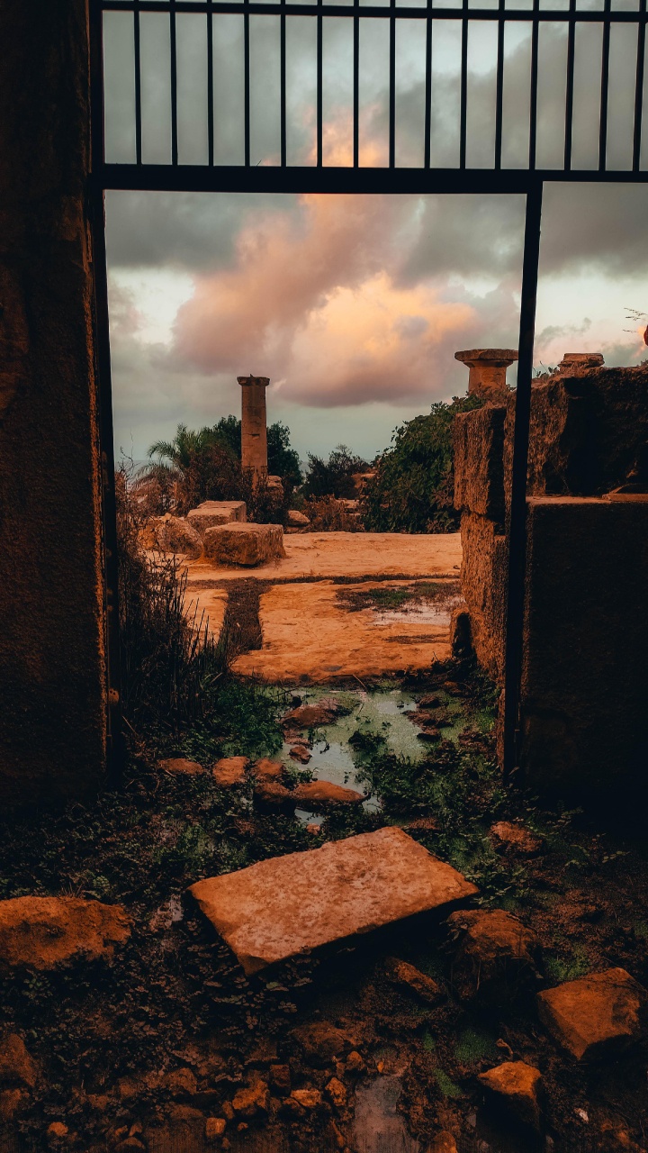 Обои просыпайся в небе, облако, растение, древесина, кирпичная кладка в разрешении 720x1280