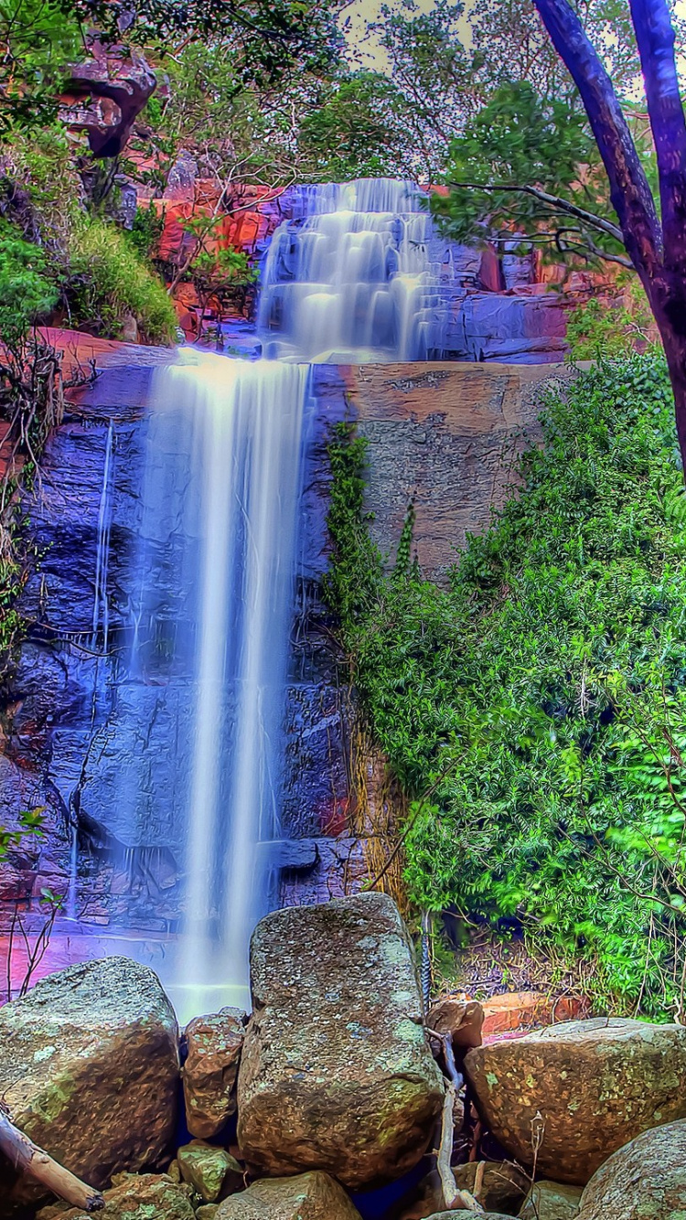 Обои вода, дерево, растительность, водопад, природа в разрешении 750x1334