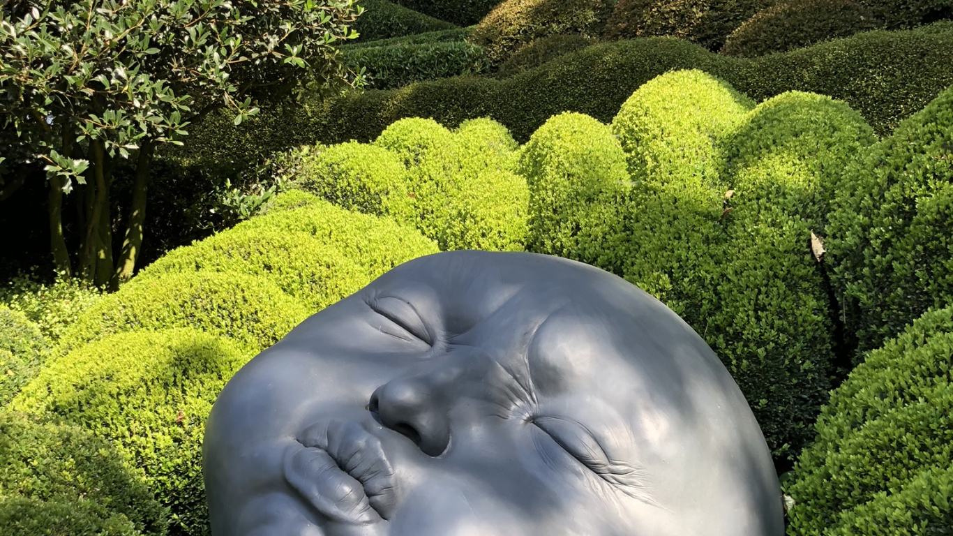 Обои природа, пейзаж, растительность, растительное сообщество, сад в разрешении 1366x768