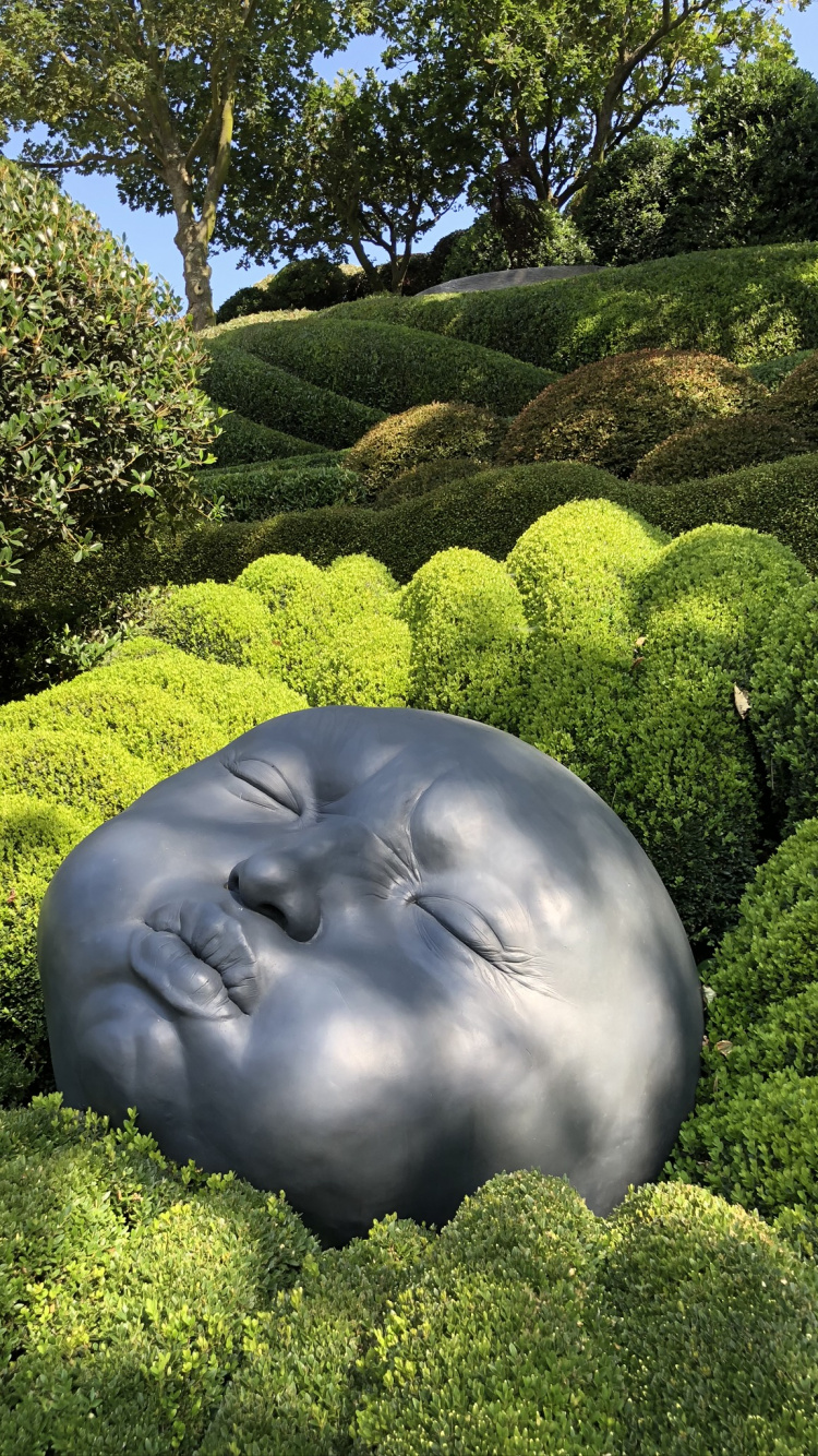 Обои природа, пейзаж, растительность, растительное сообщество, сад в разрешении 750x1334