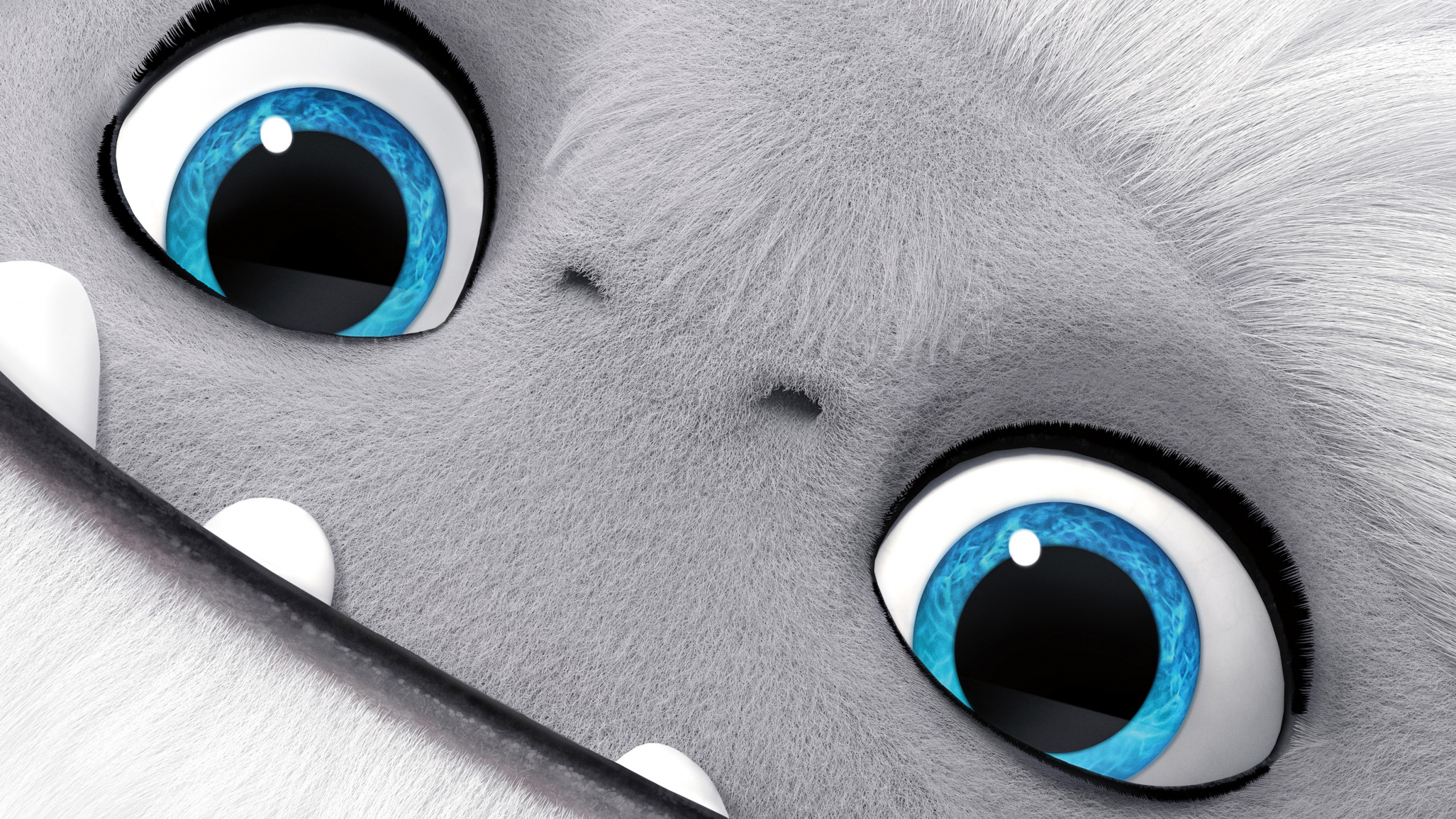 Обои студия DreamWorks Animation, приключения, синий, глаз, радужная оболочка в разрешении 2560x1440