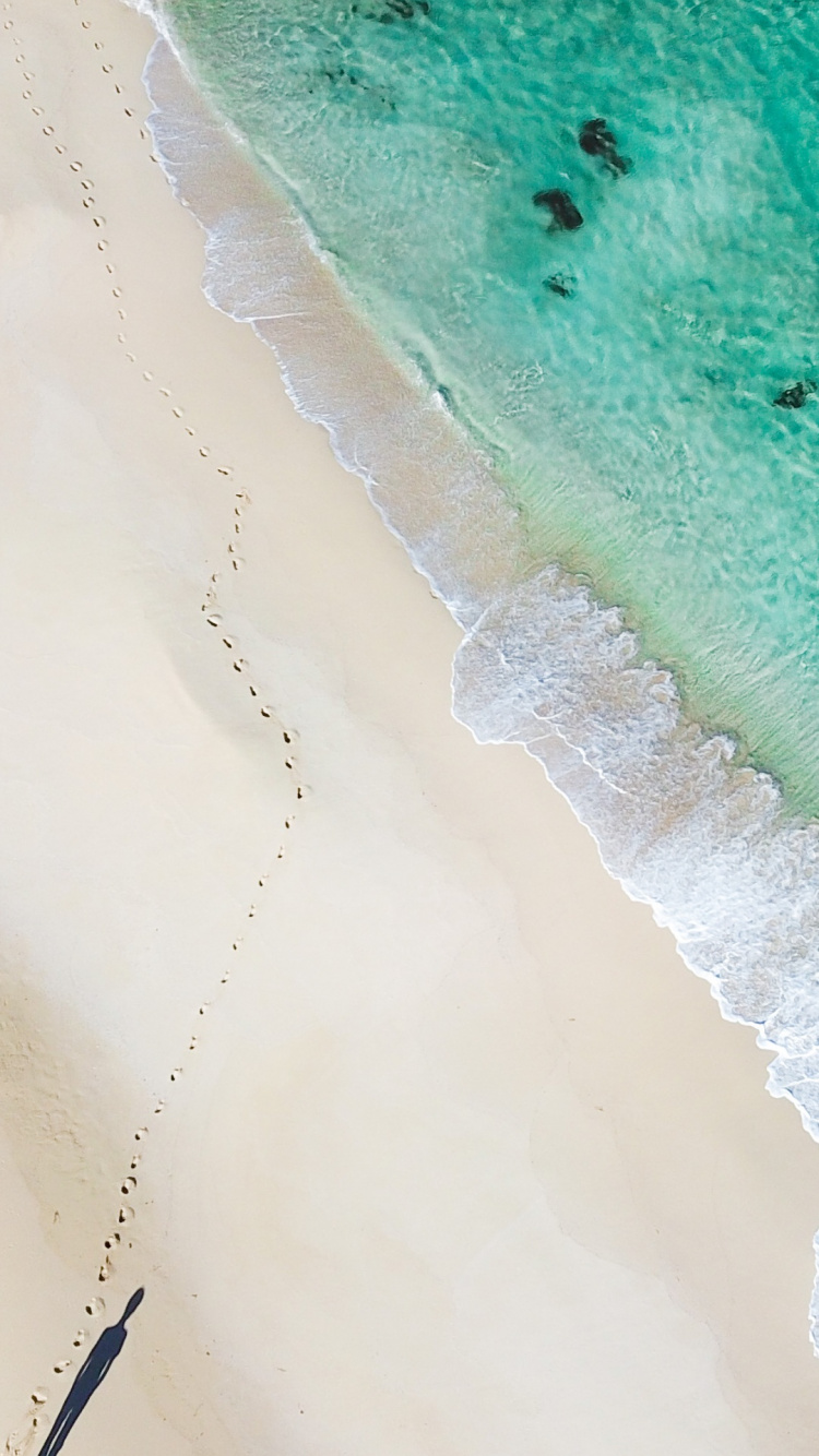 Обои вода, экорегион, пляж, древесина, пейзаж в разрешении 750x1334