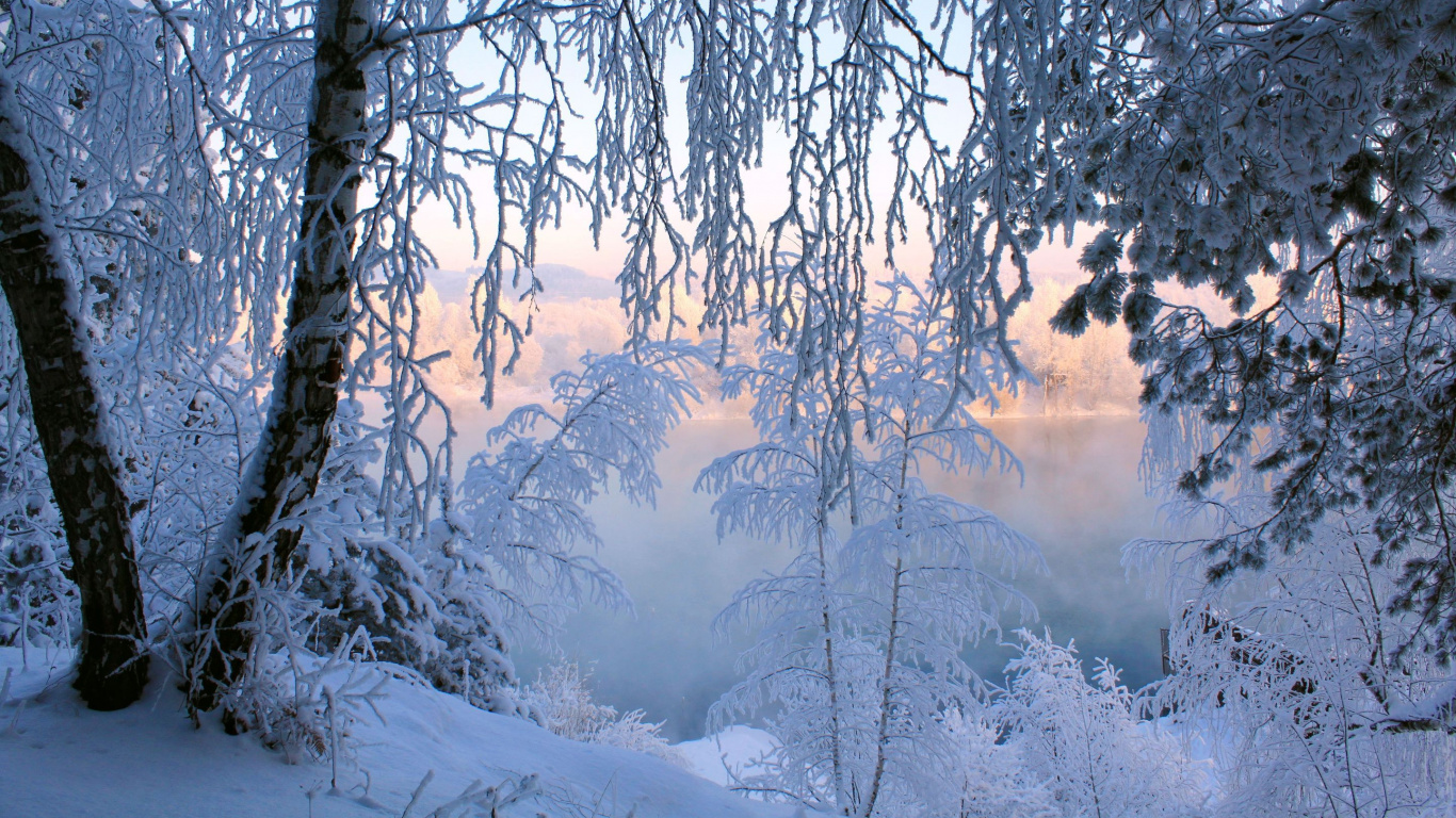 Обои зима, снег, природа, дерево, мороз в разрешении 1366x768