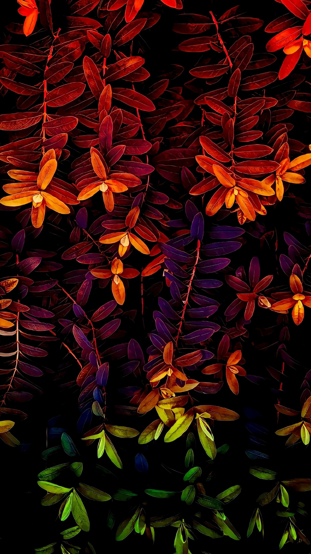 Обои природа, лист, арт, растение, цветок в разрешении 1080x1920